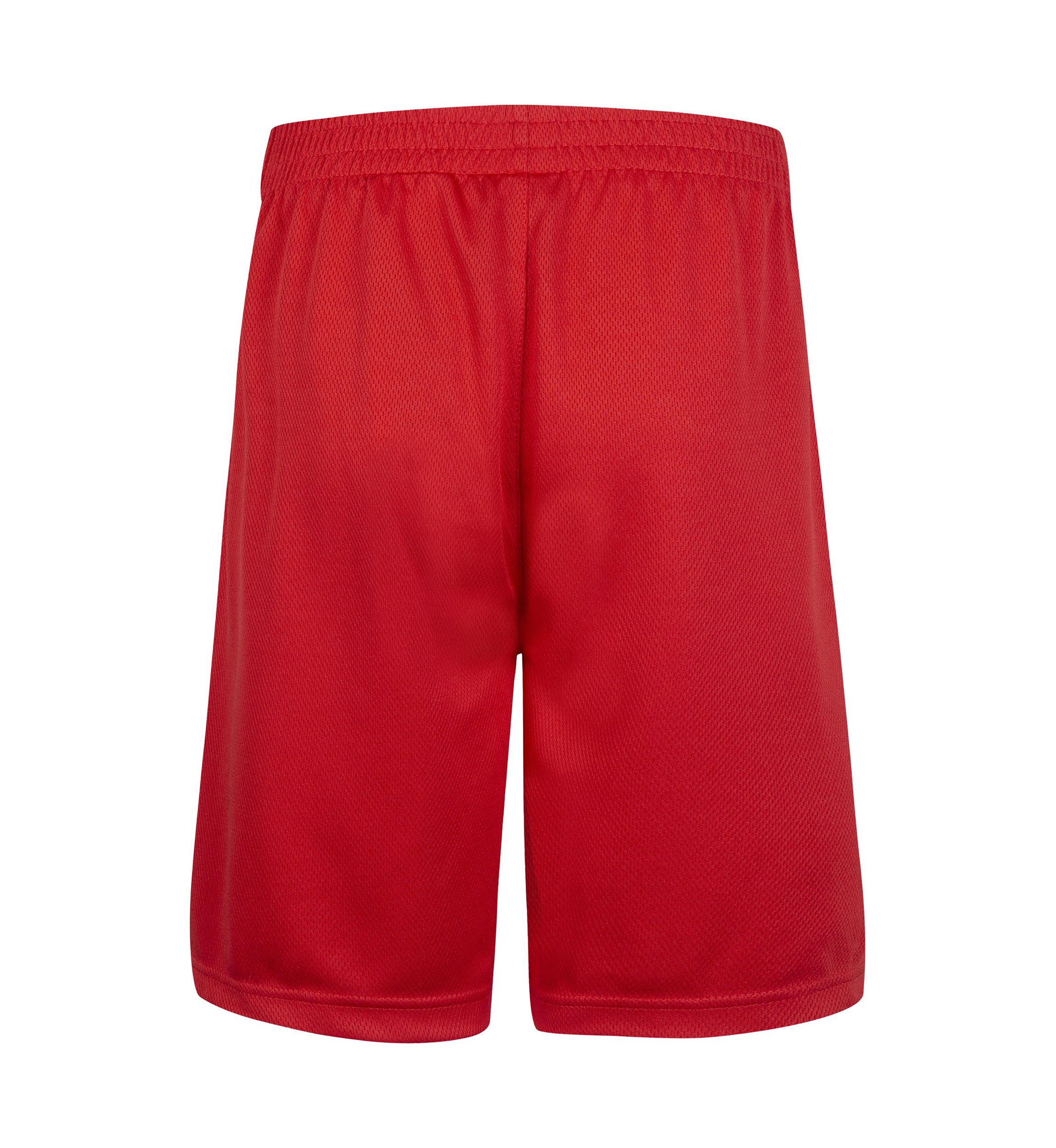 Boys 8-20 Badge Logo Shorts