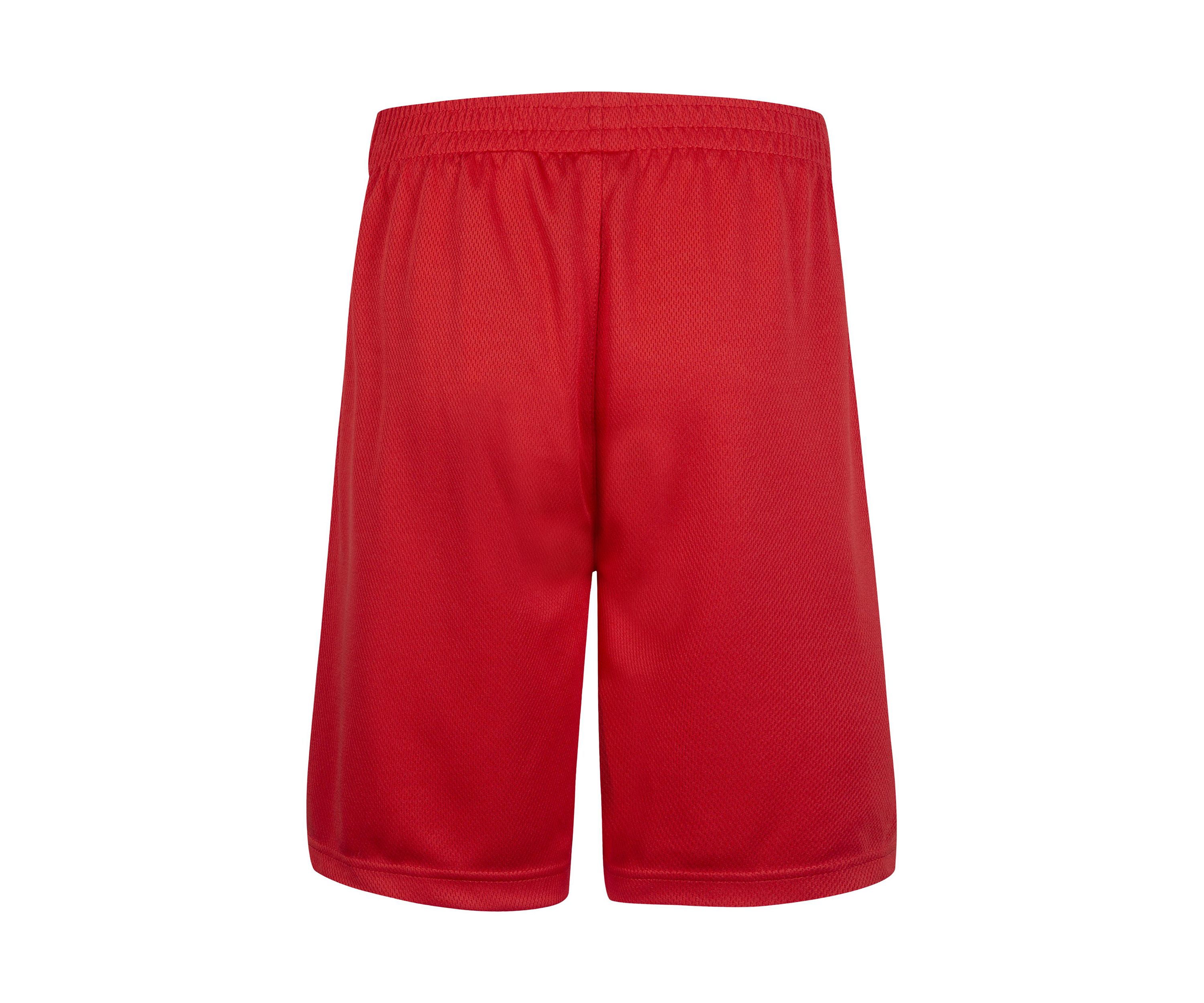 Boys 8-20 Badge Logo Shorts