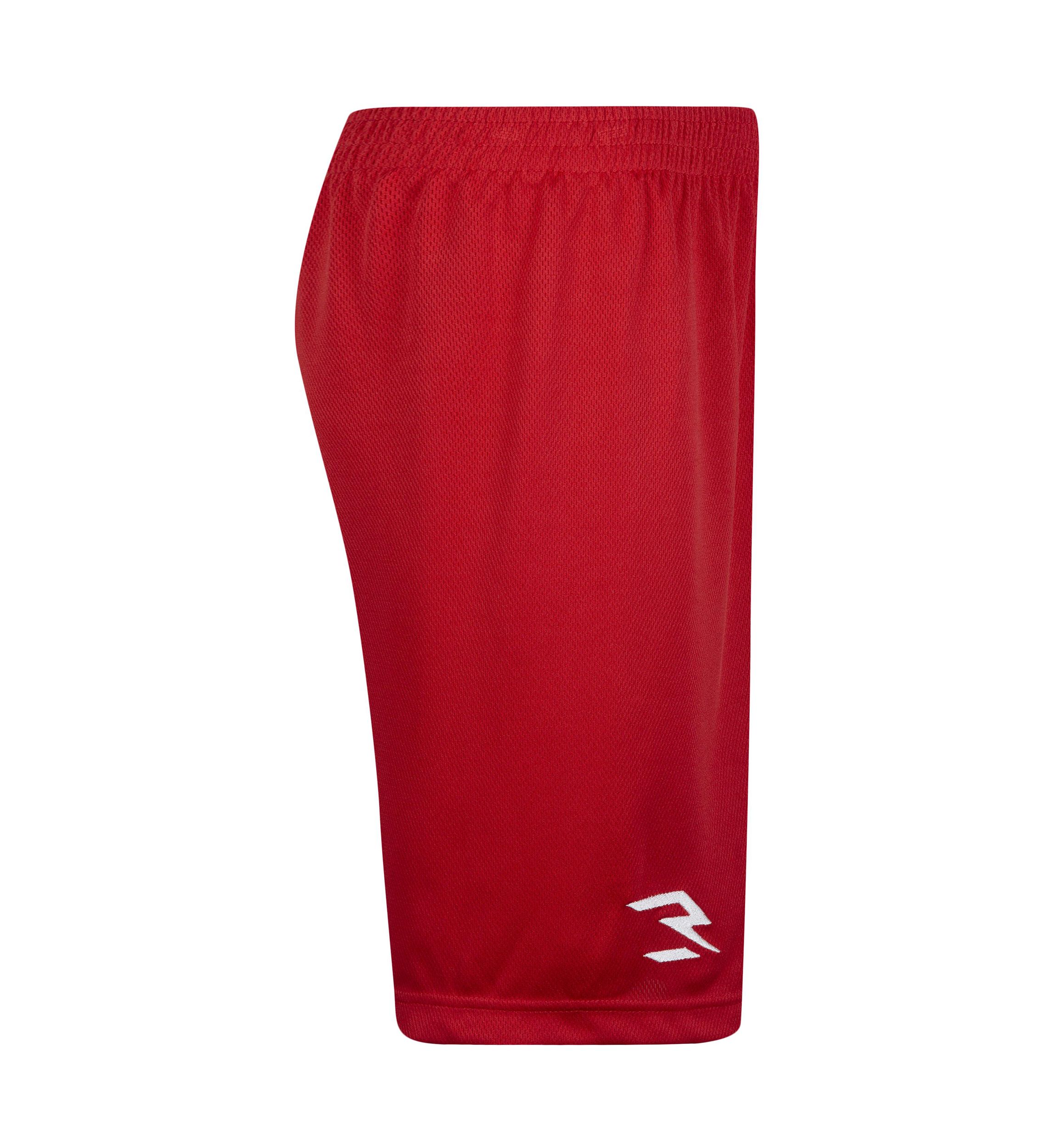 Boys 8-20 Badge Logo Shorts