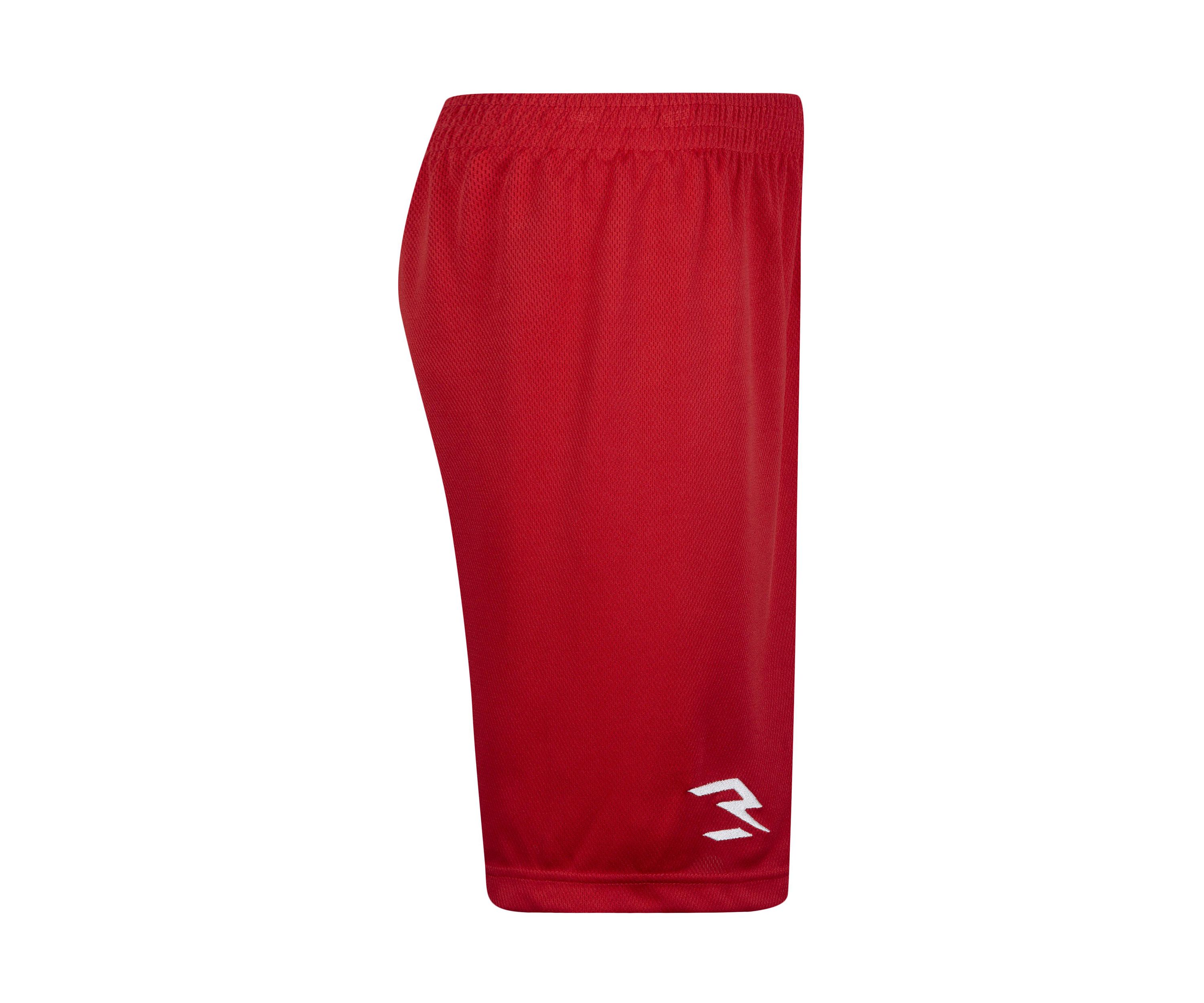 Boys 8-20 Badge Logo Shorts