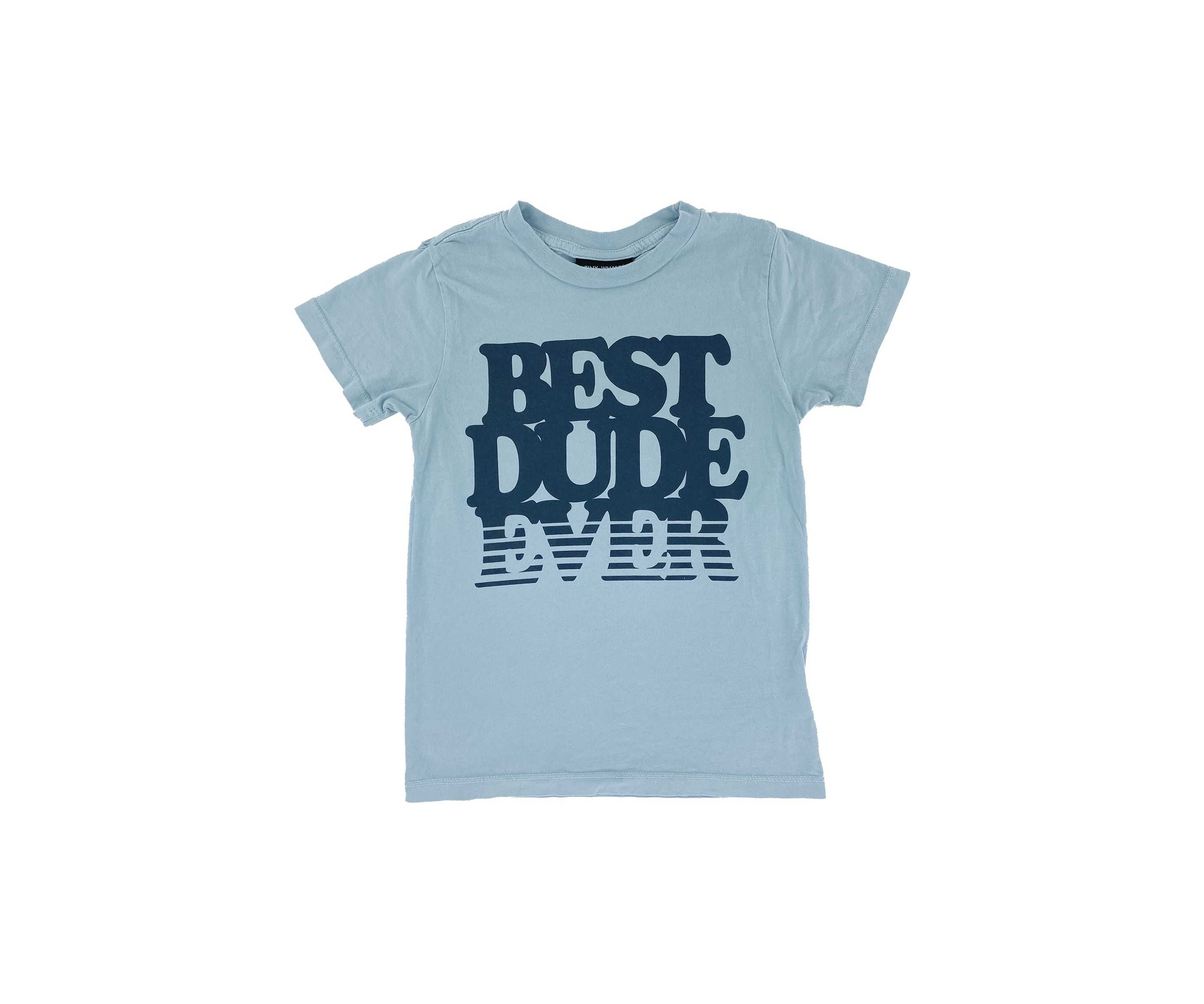 Toddler Boys Best Dude Ever T-Shirt 