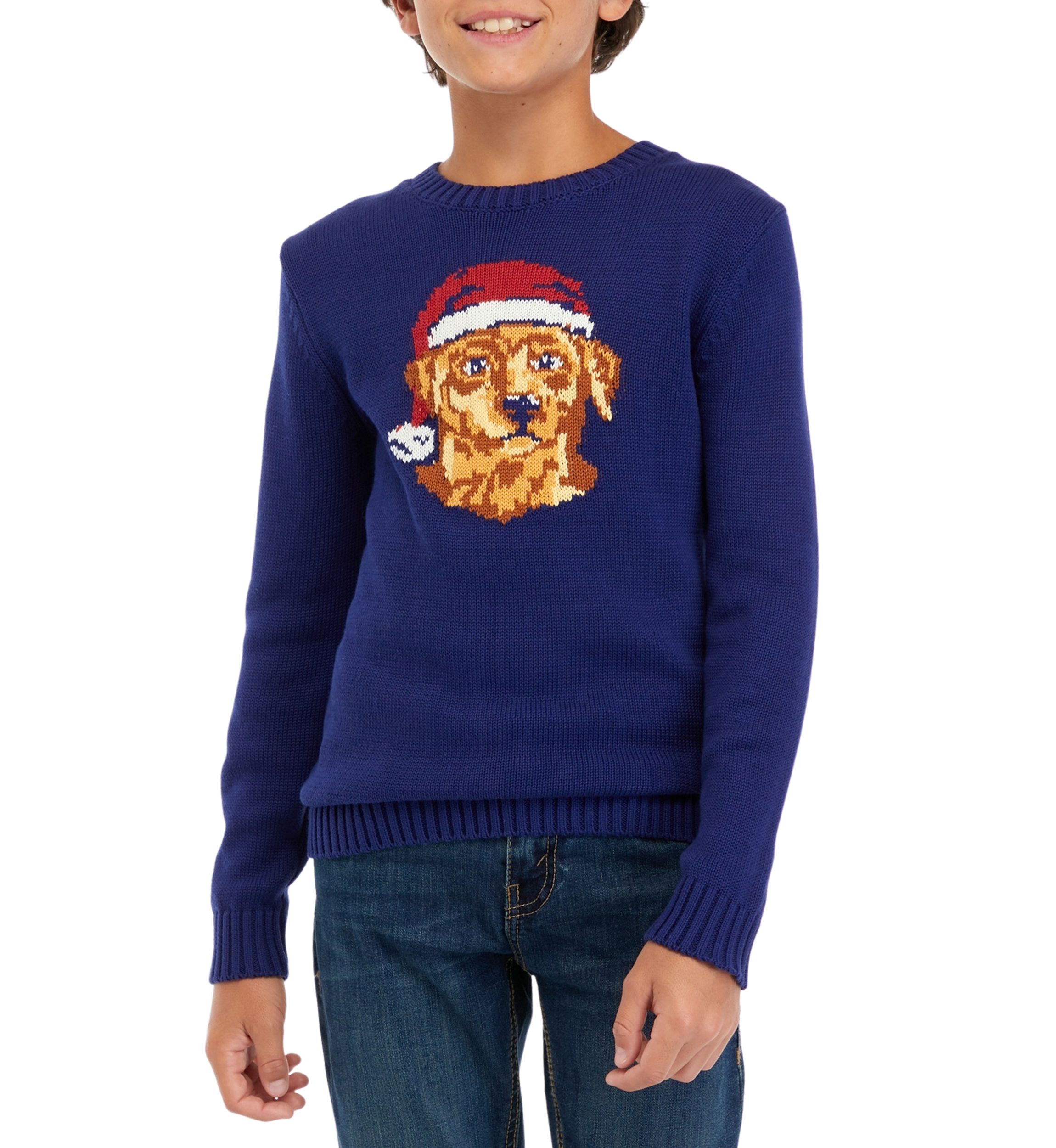 Boys 8-20 Christmas Sweater