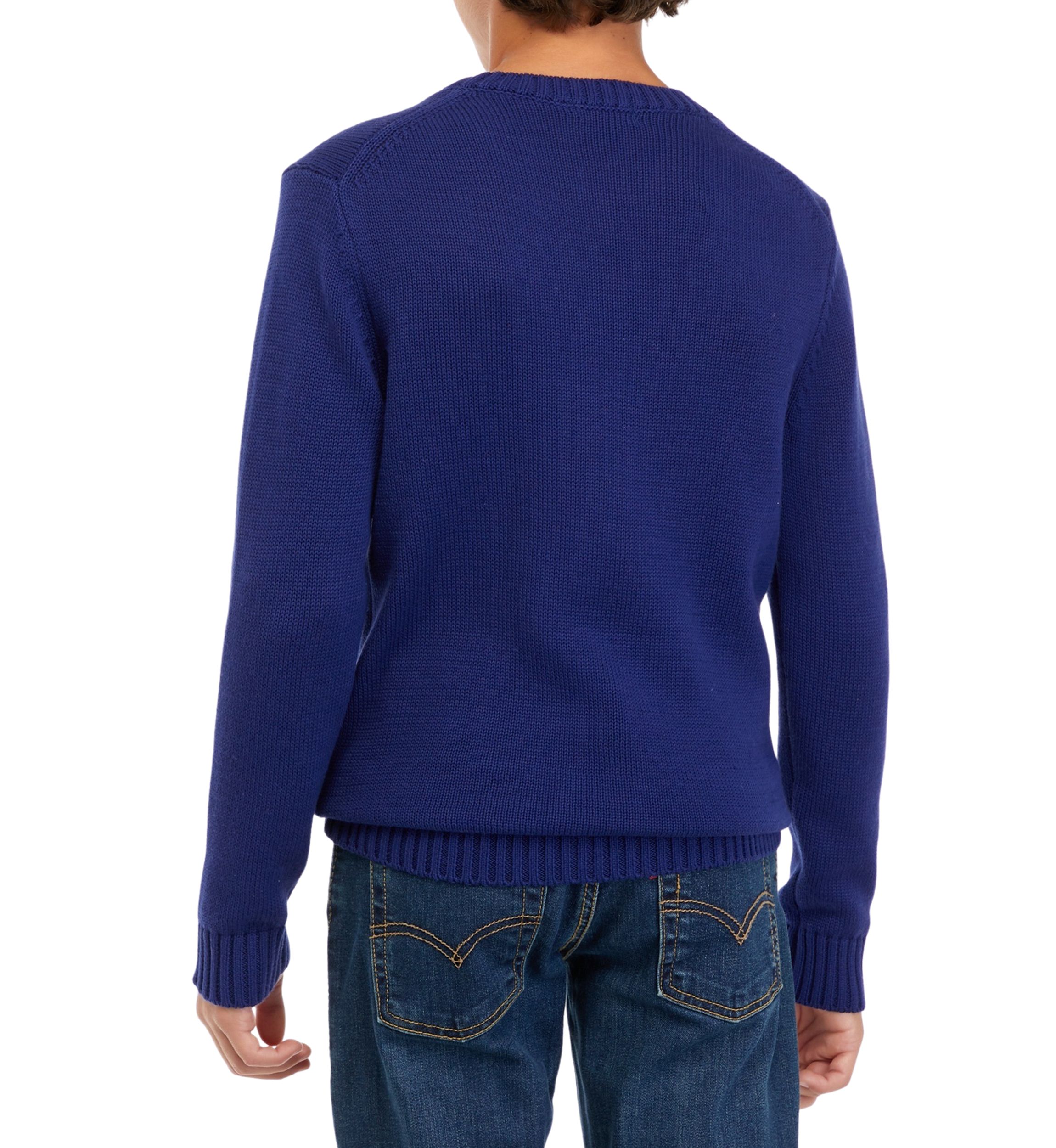 Boys 8-20 Christmas Sweater