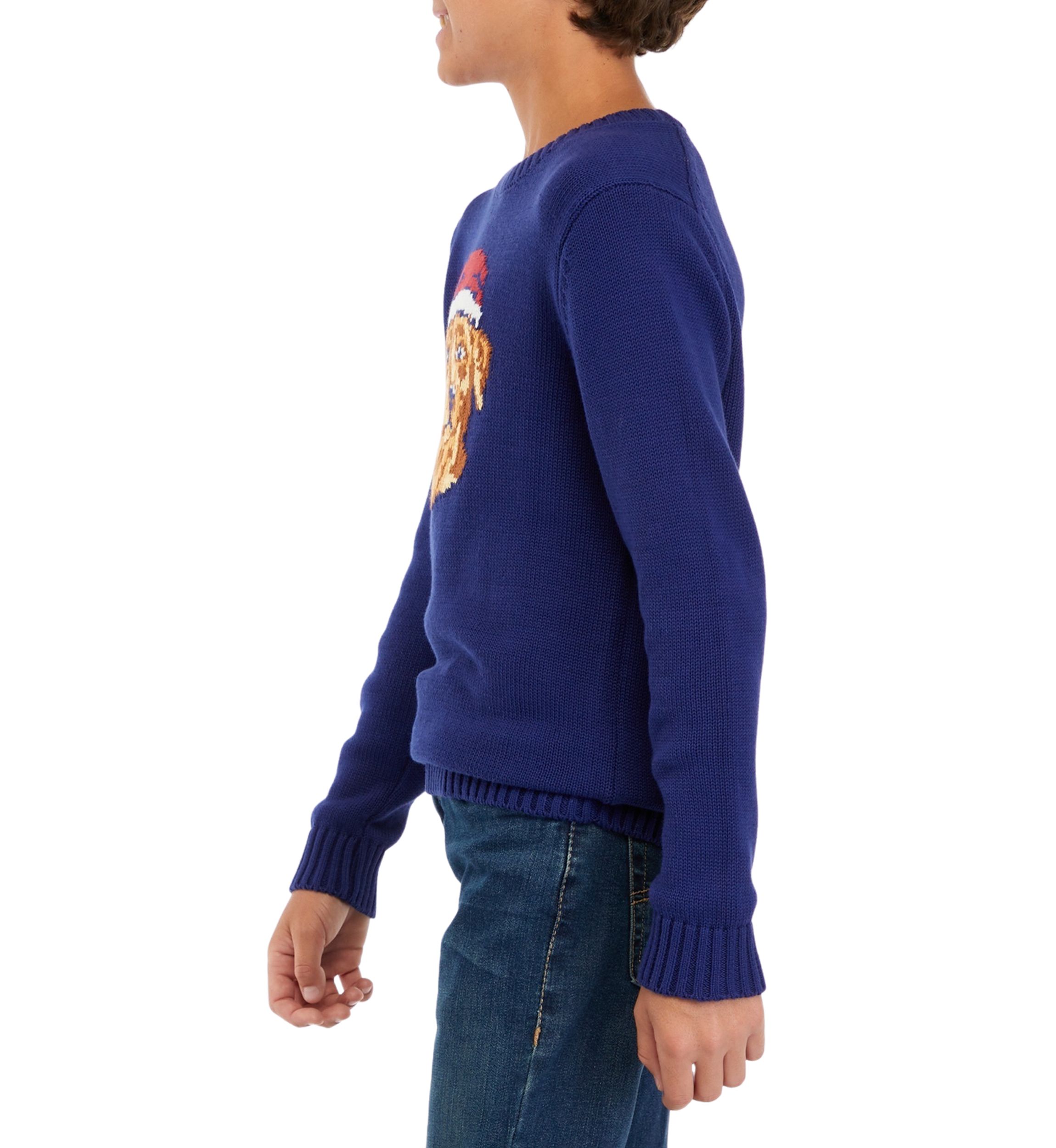 Boys 8-20 Christmas Sweater