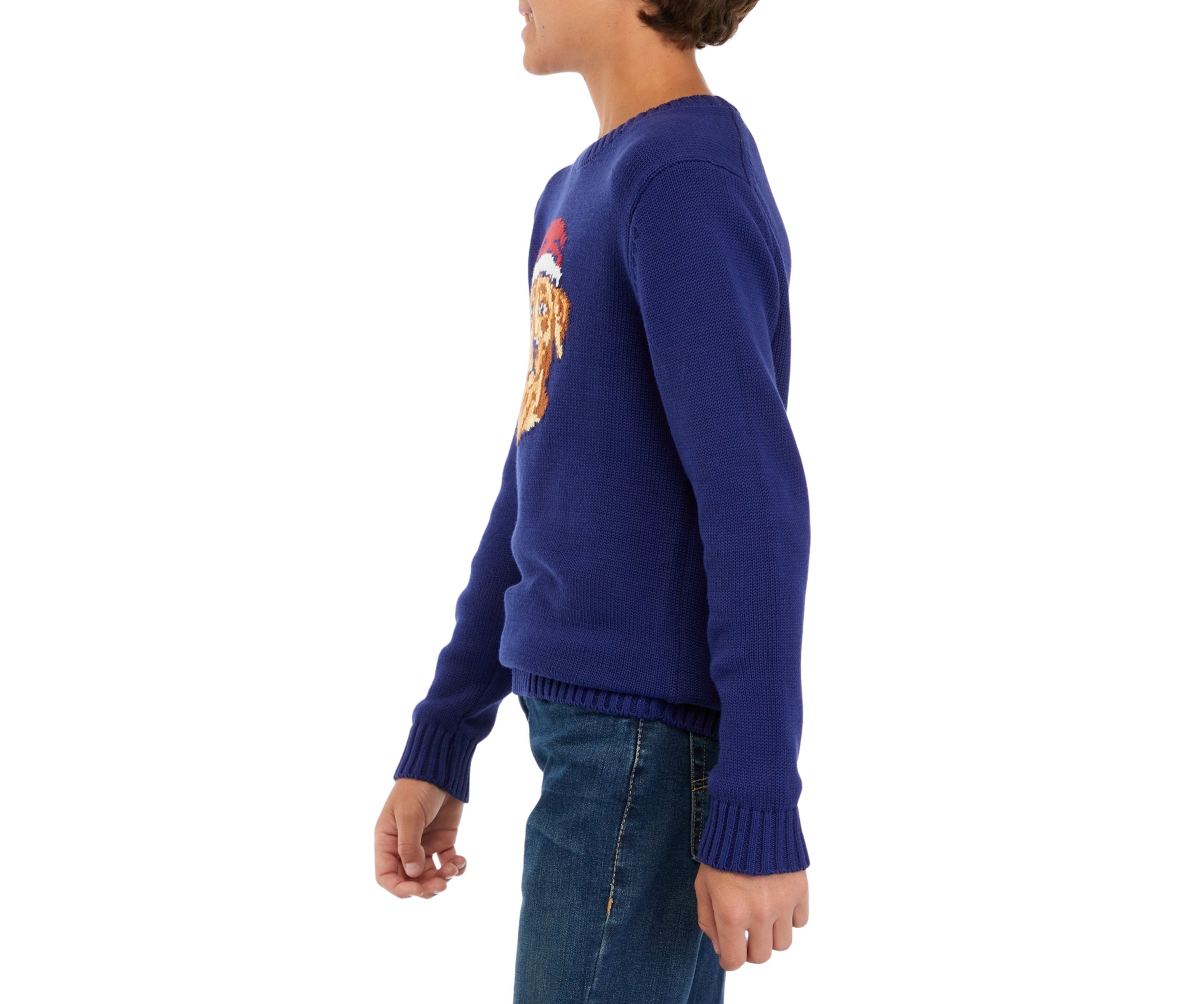 Boys 8-20 Christmas Sweater