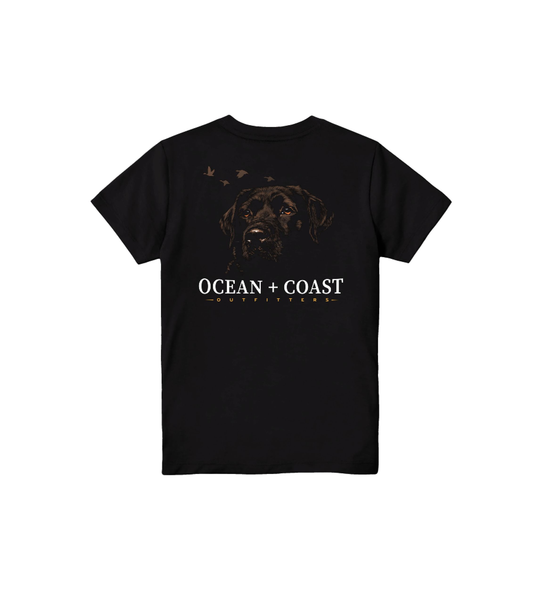 Boys 4-7 Cotton Graphic T-Shirt 