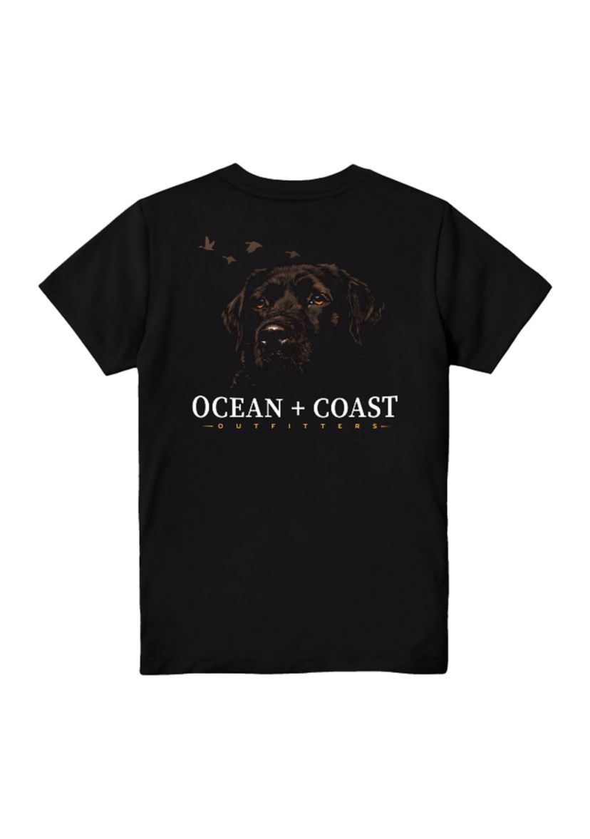 Boys 4-7 Cotton Graphic T-Shirt 