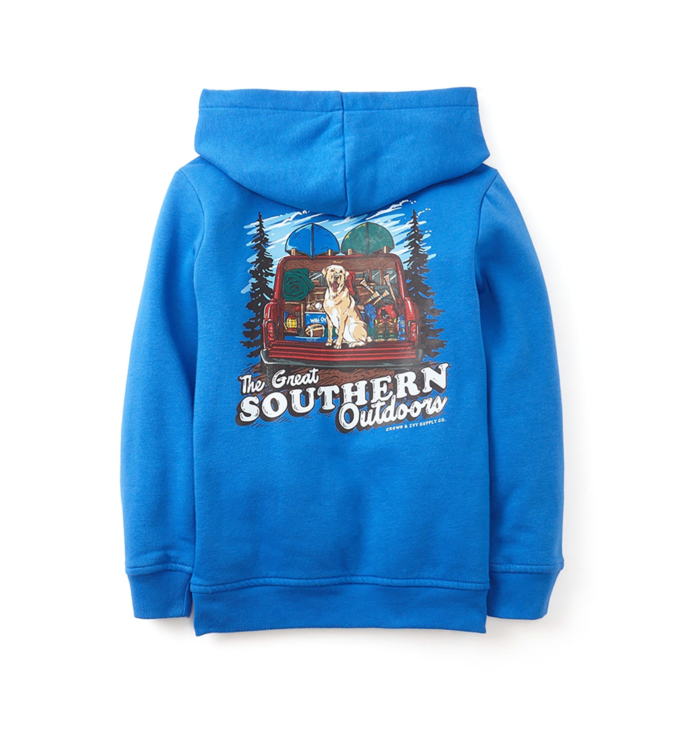 Boys 4-7 Graphic Hoodie