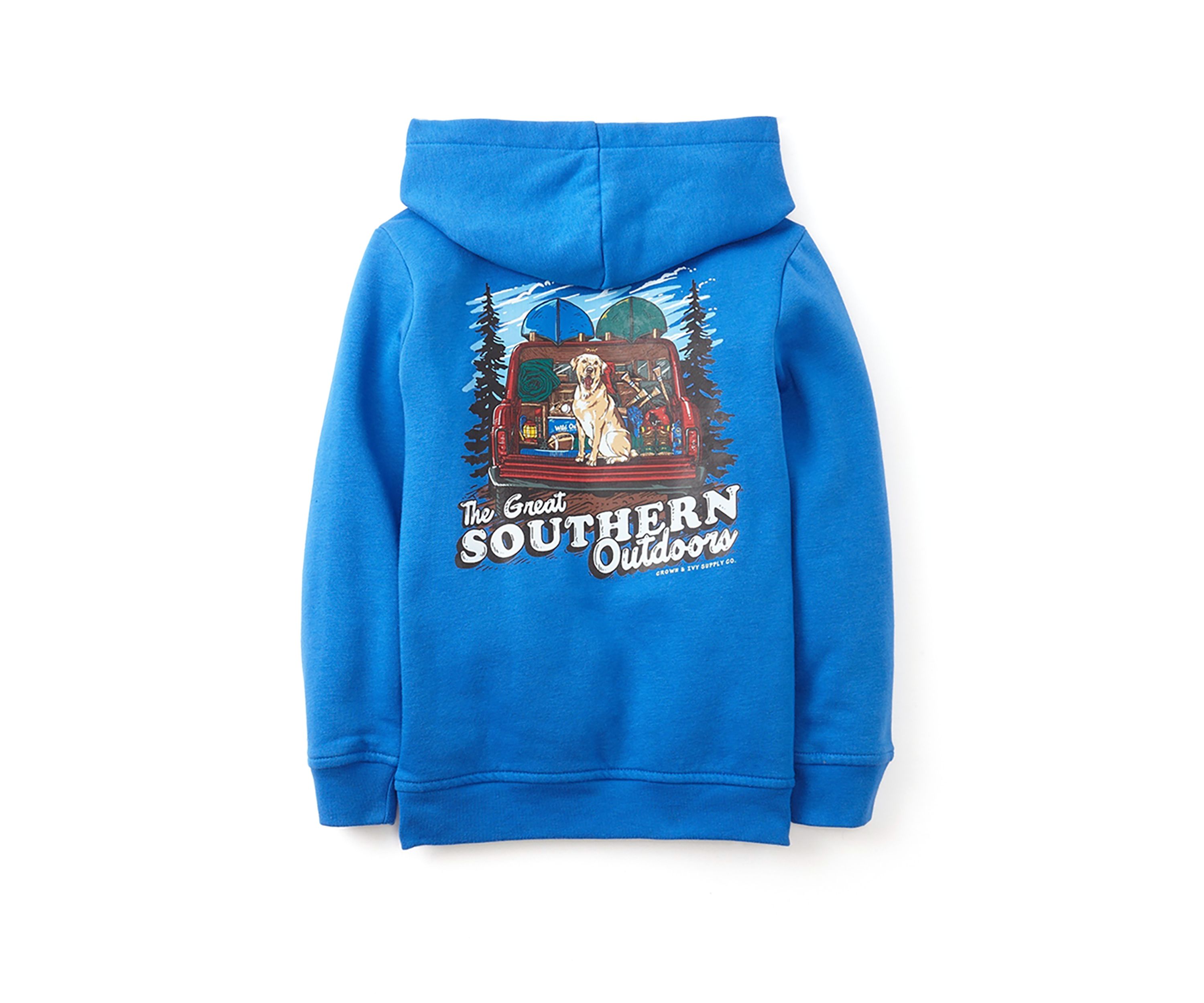 Boys 4-7 Graphic Hoodie