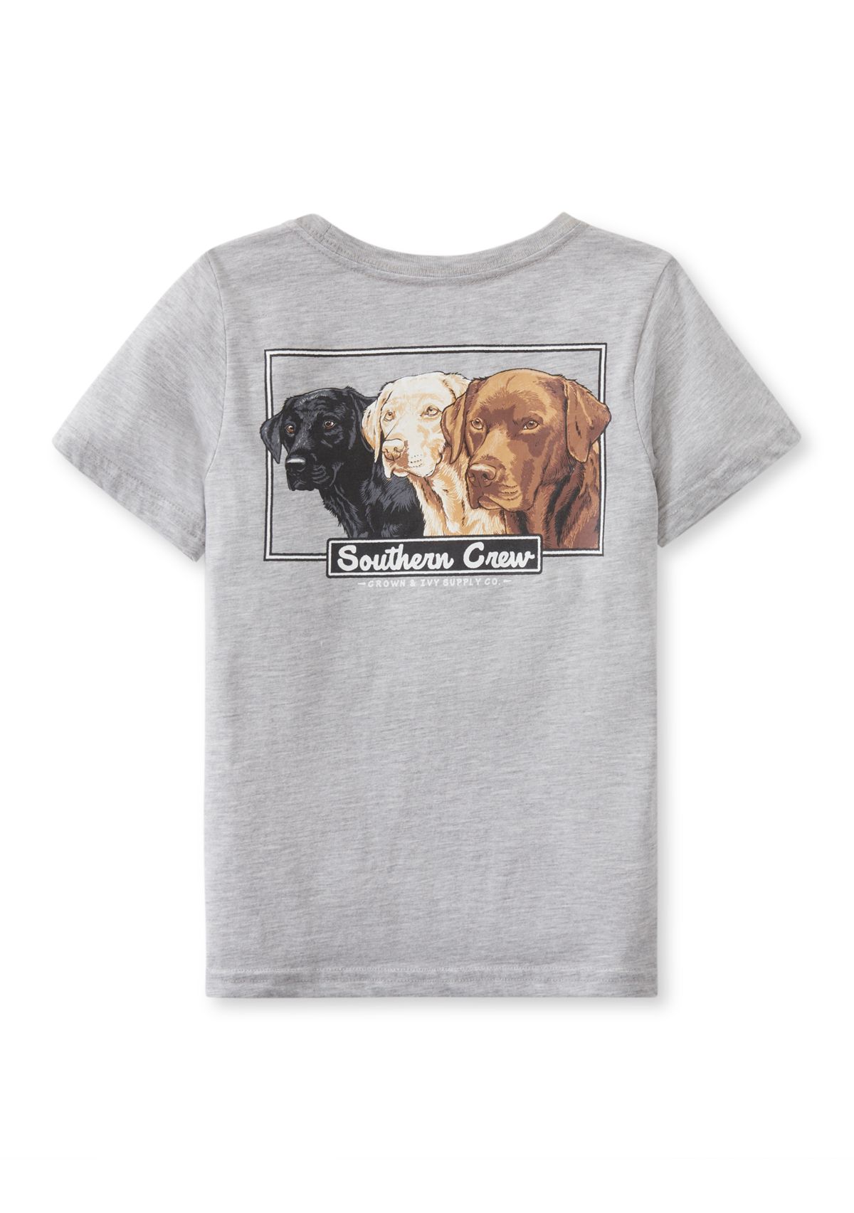 Boys 4-7 Short Sleeve Graphic T-Shirt