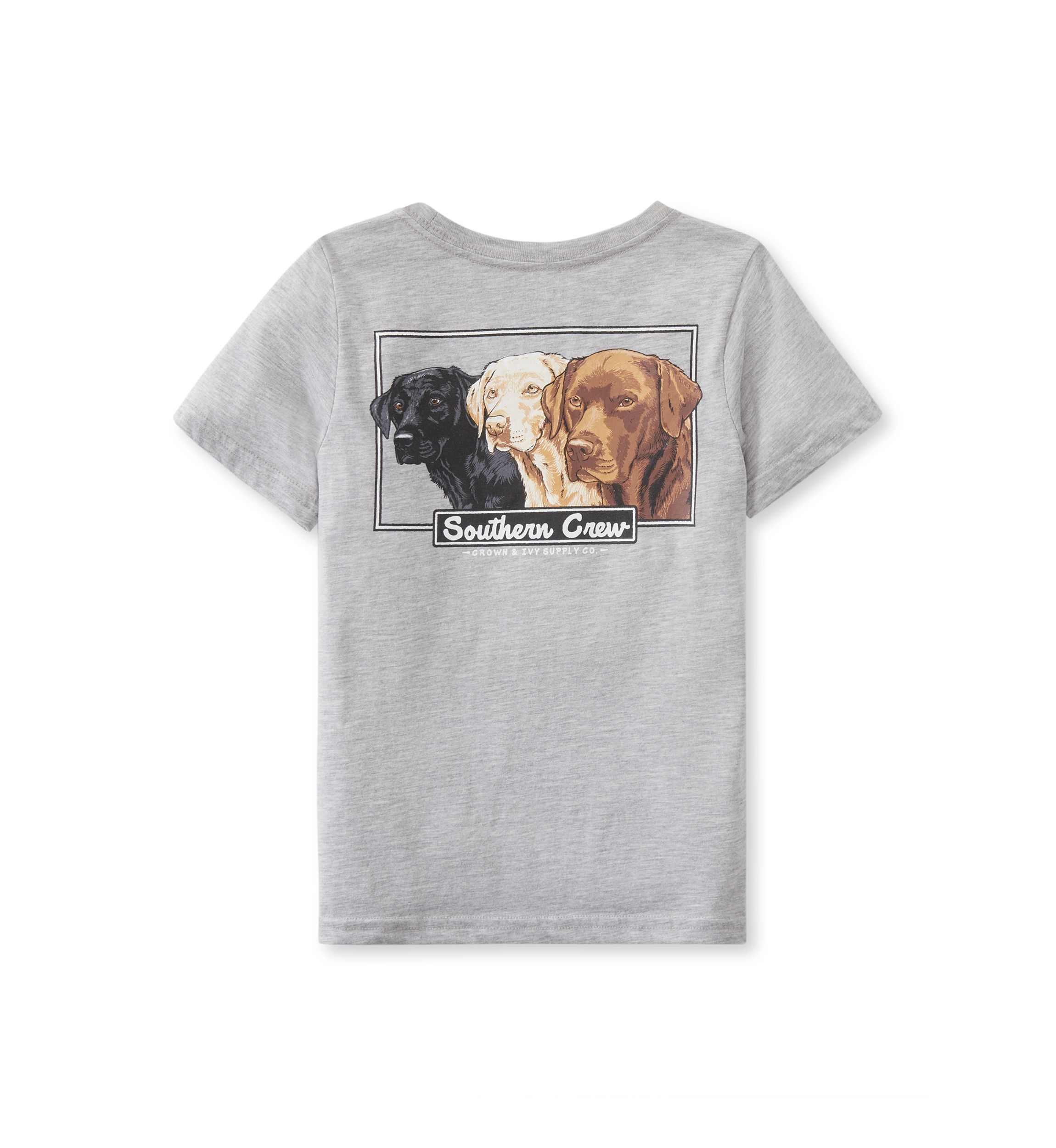 Boys 4-7 Short Sleeve Graphic T-Shirt