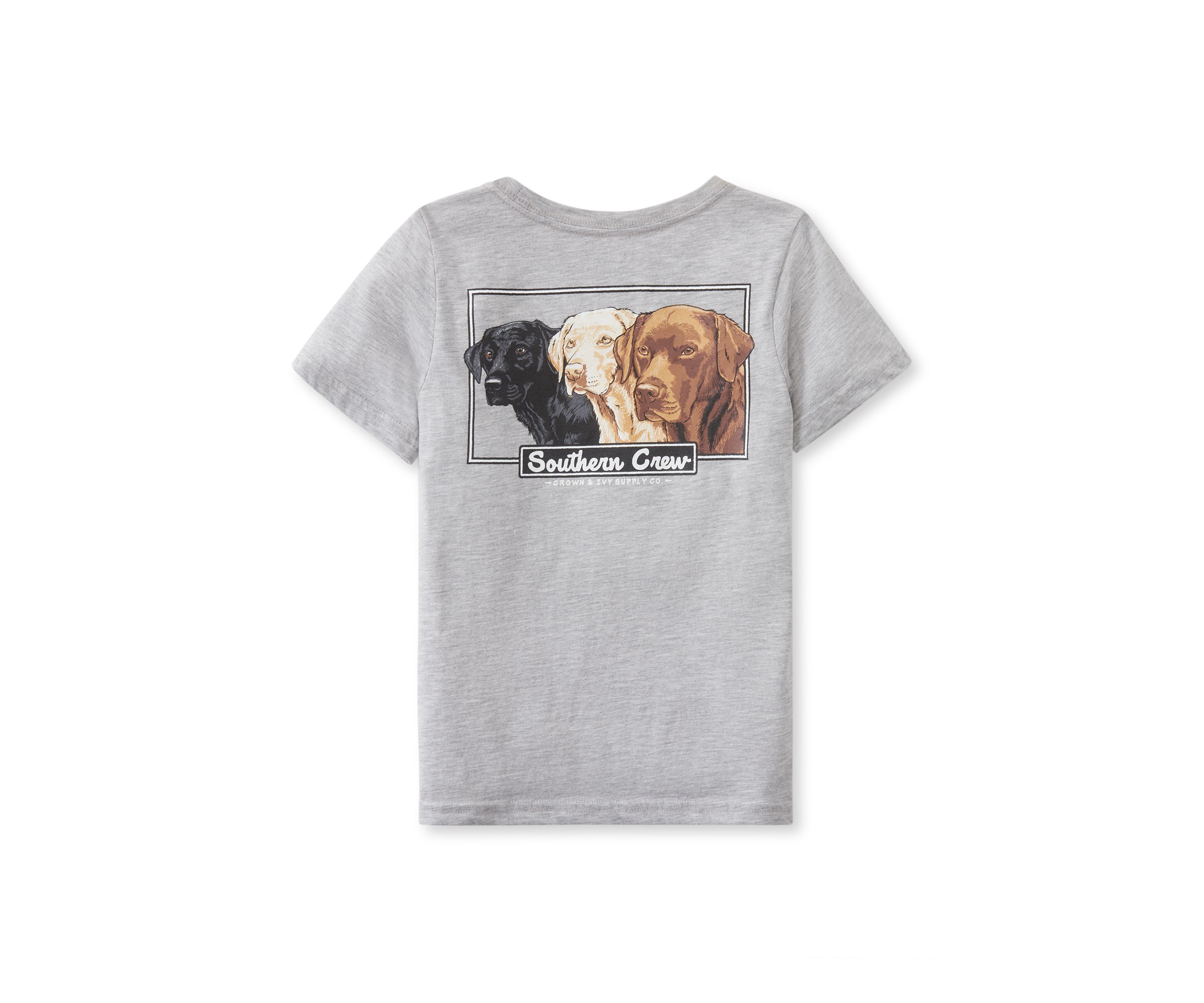Boys 4-7 Short Sleeve Graphic T-Shirt