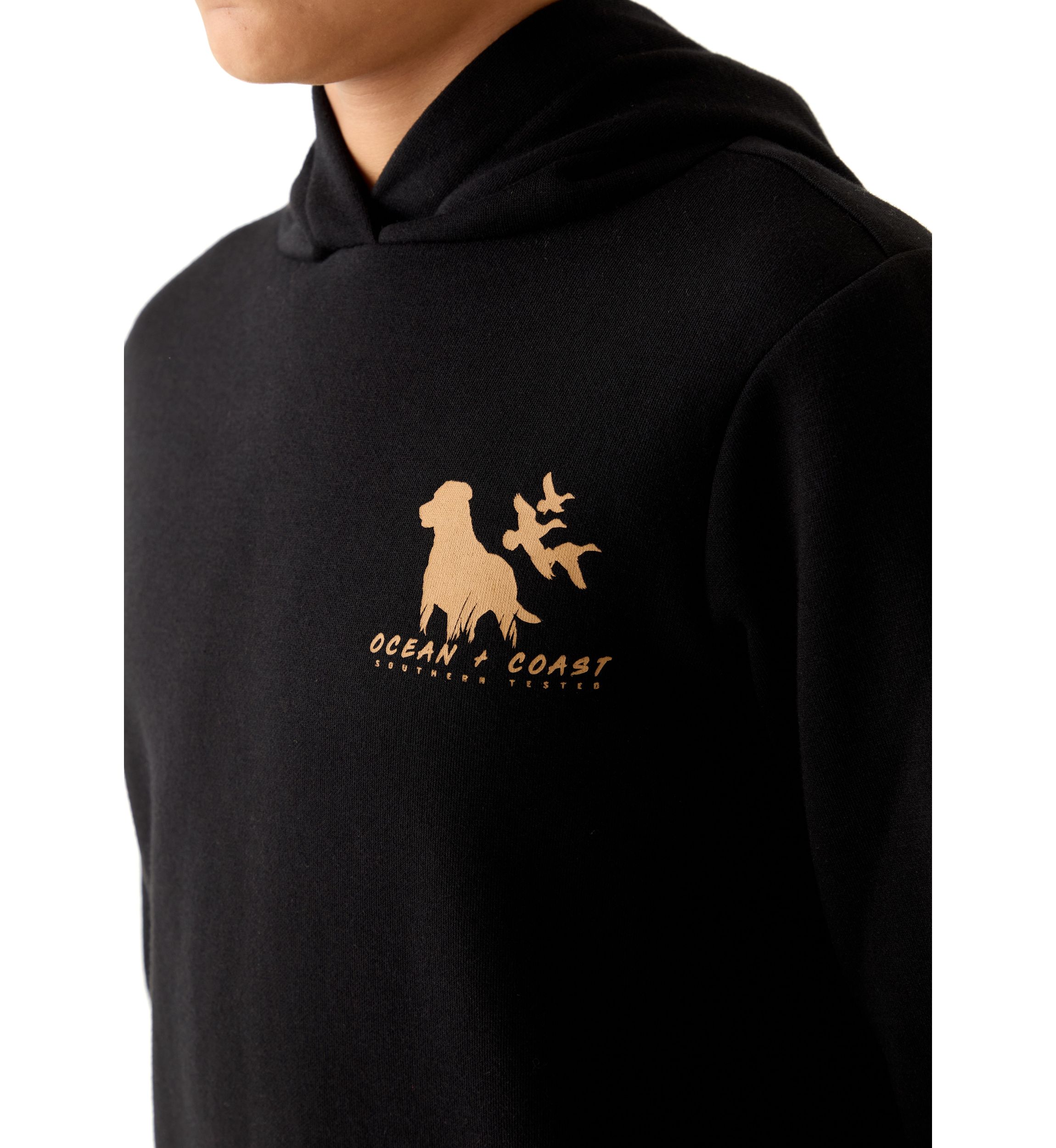 Boys 8-20 Graphic Hoodie