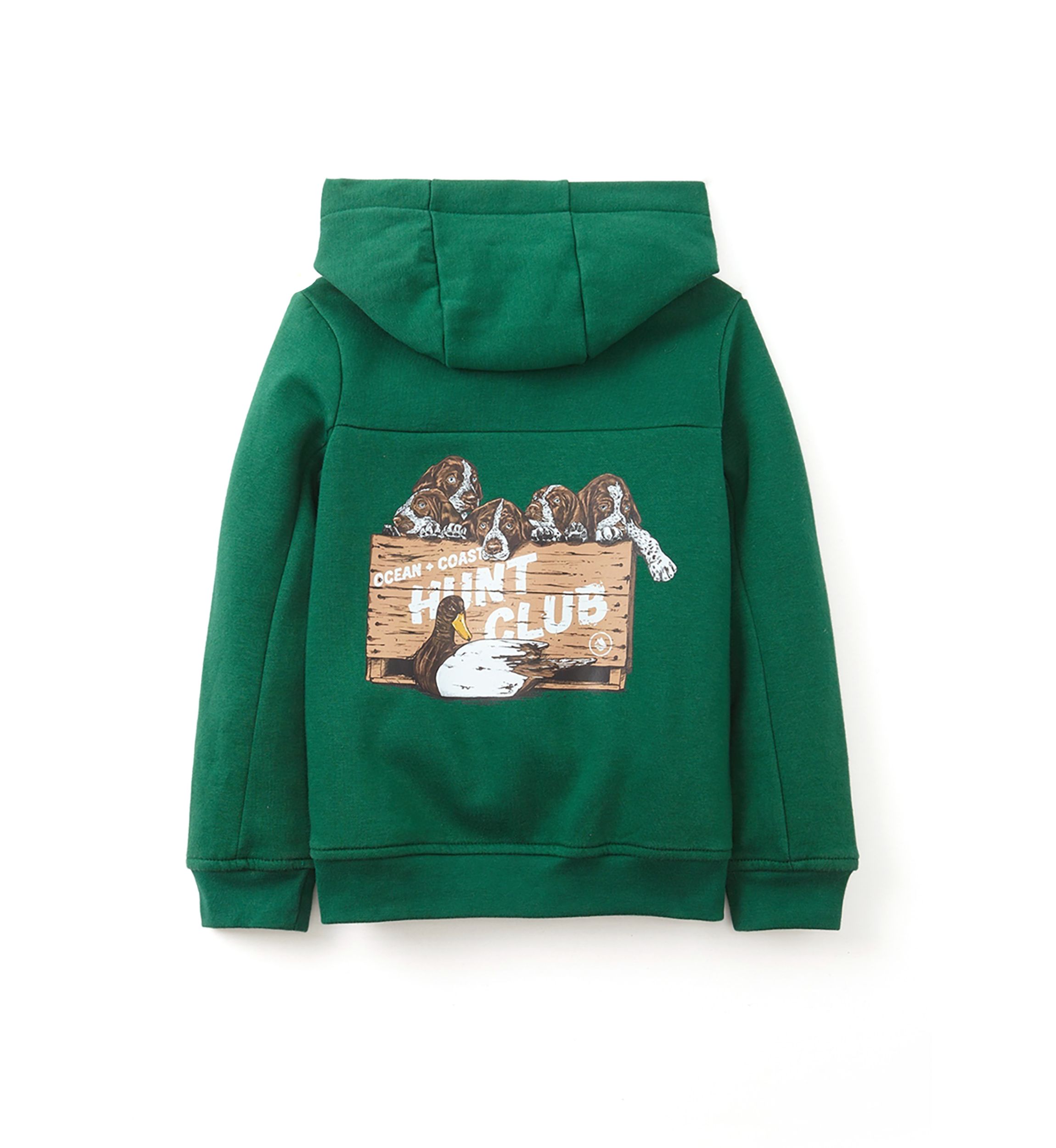 Boys 4-7 Graphic Hoodie 