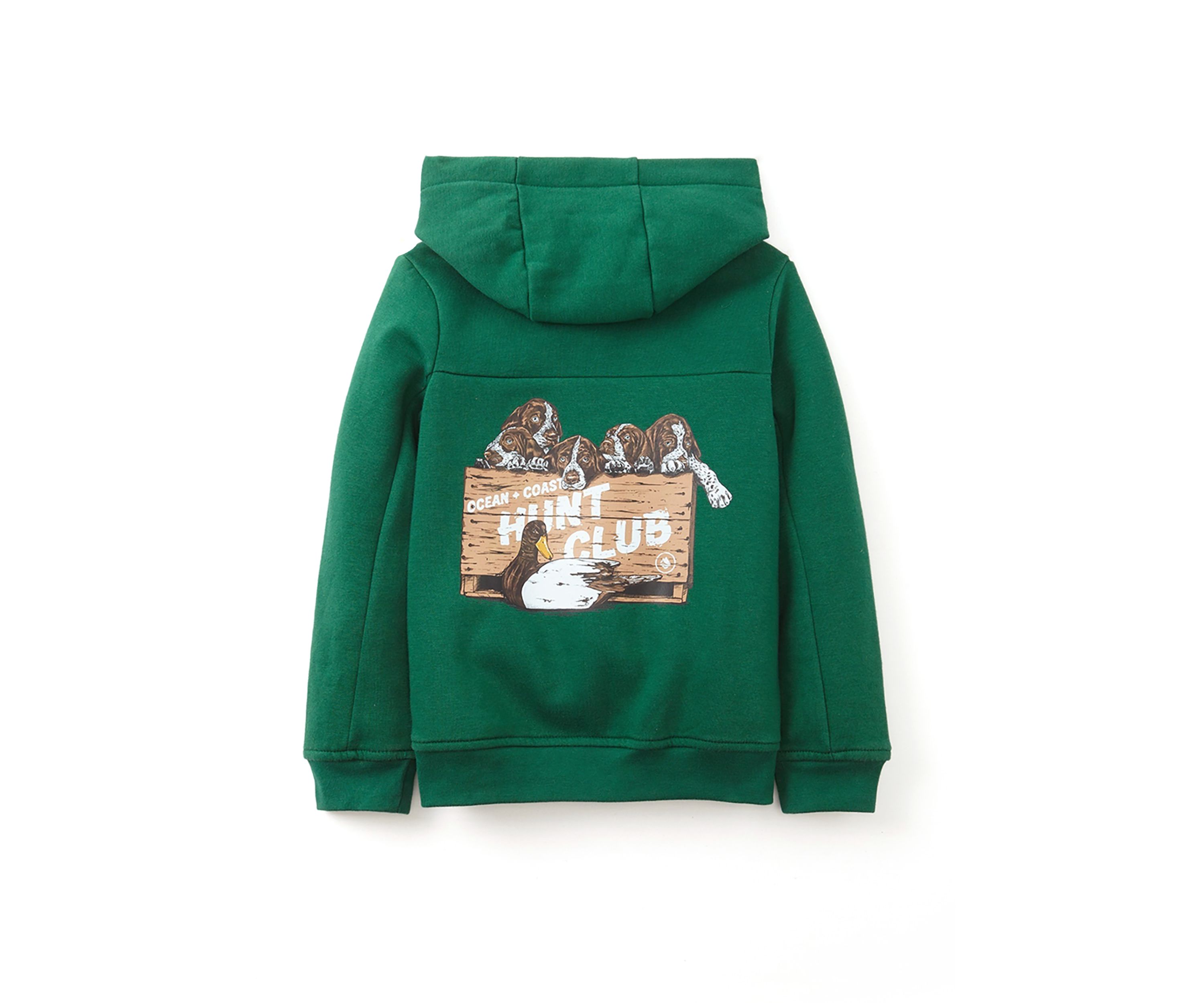 Boys 4-7 Graphic Hoodie 