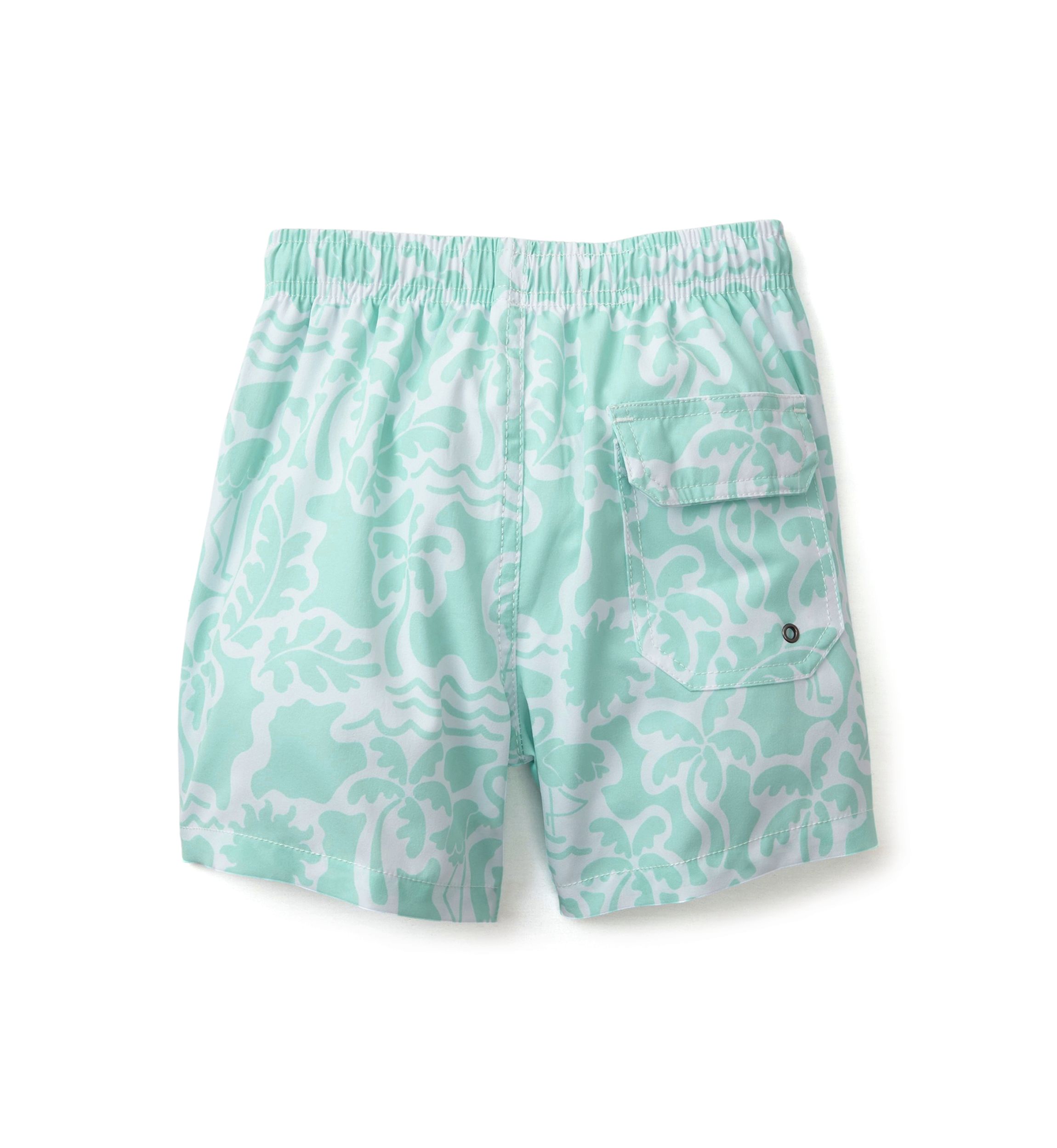 Boys 4-7 Flamingo Swim Trunks