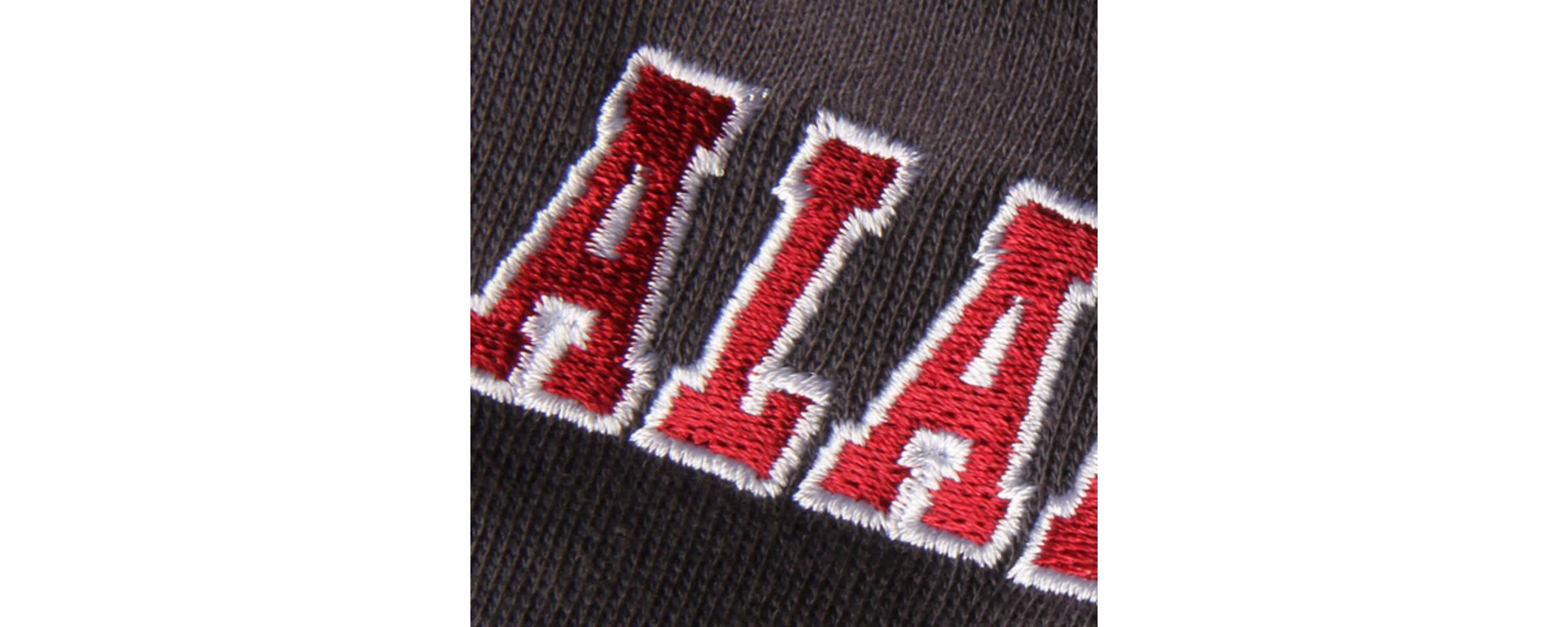 Alabama Crimson Tide NCAA Alabama Tide Big Logo Pullover Hoodie