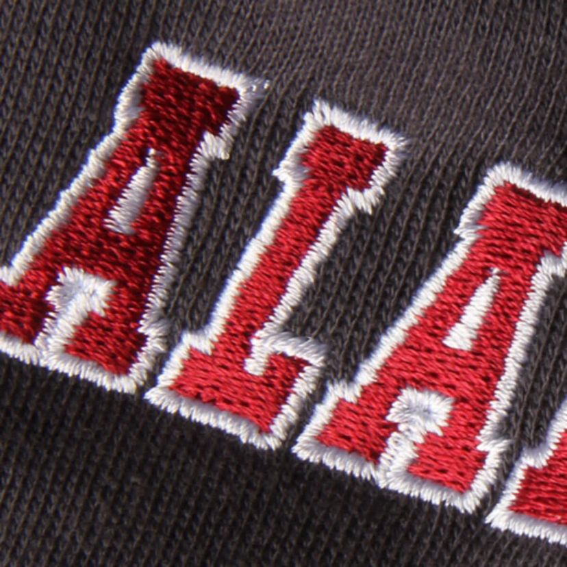Alabama Crimson Tide NCAA Alabama Tide Big Logo Pullover Hoodie