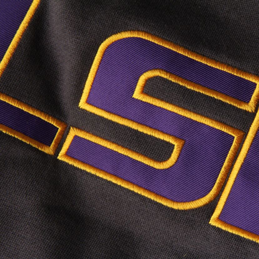 NCAA LSU Tigers Big Logo Pullover Hoodie