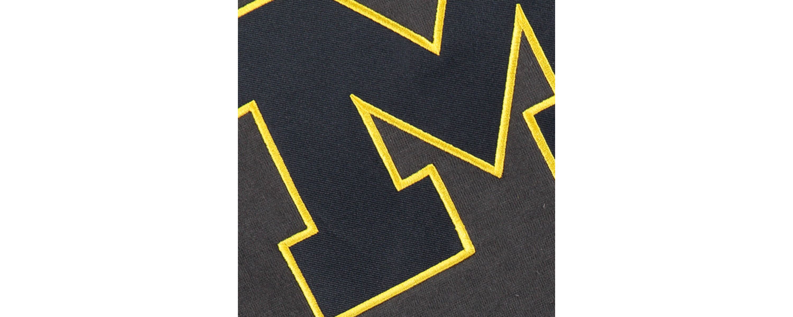 NCAA Michigan Wolverines Big Logo Pullover Hoodie