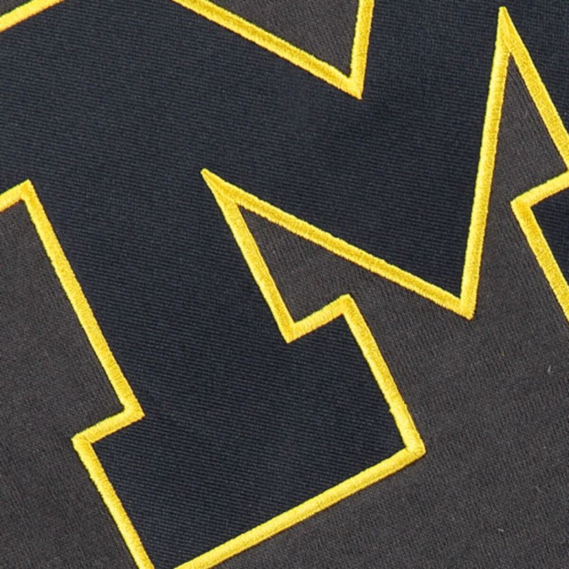 NCAA Michigan Wolverines Big Logo Pullover Hoodie