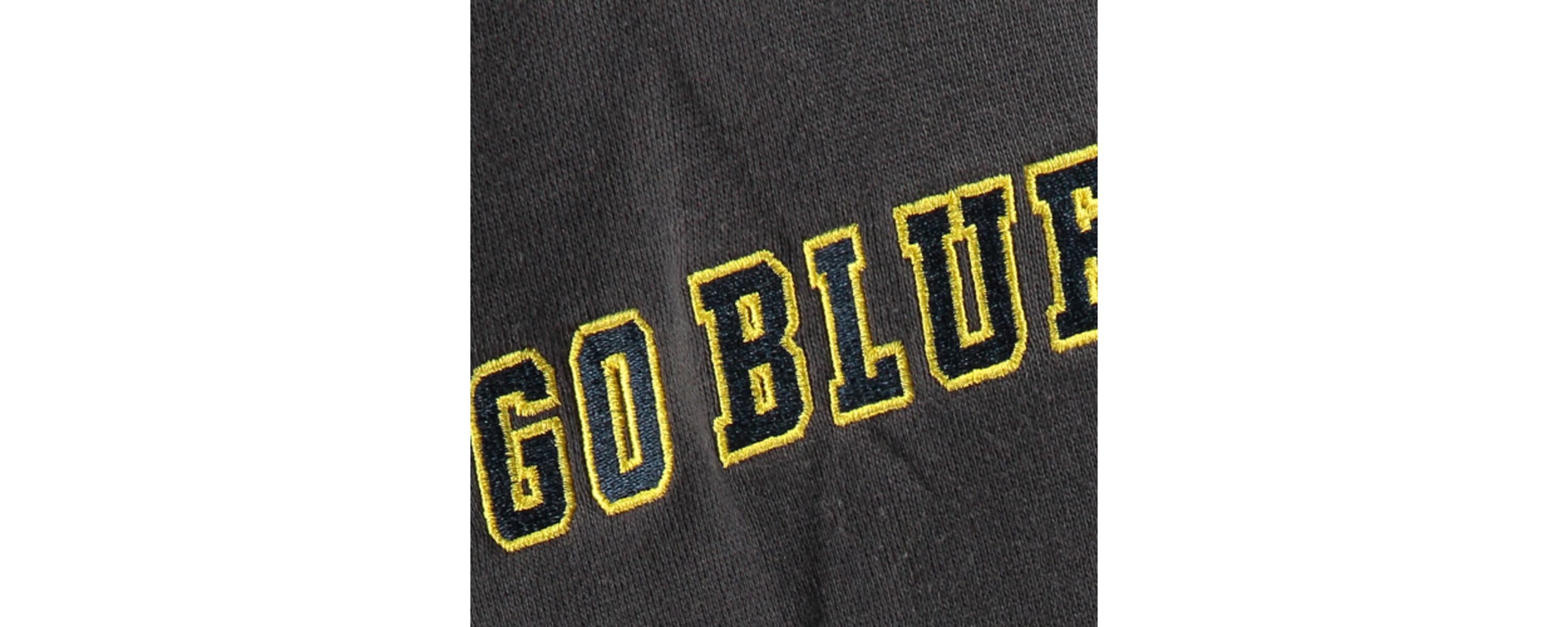 NCAA Michigan Wolverines Big Logo Pullover Hoodie