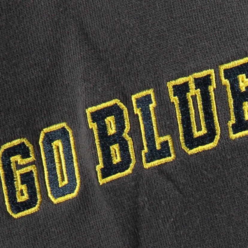 NCAA Michigan Wolverines Big Logo Pullover Hoodie