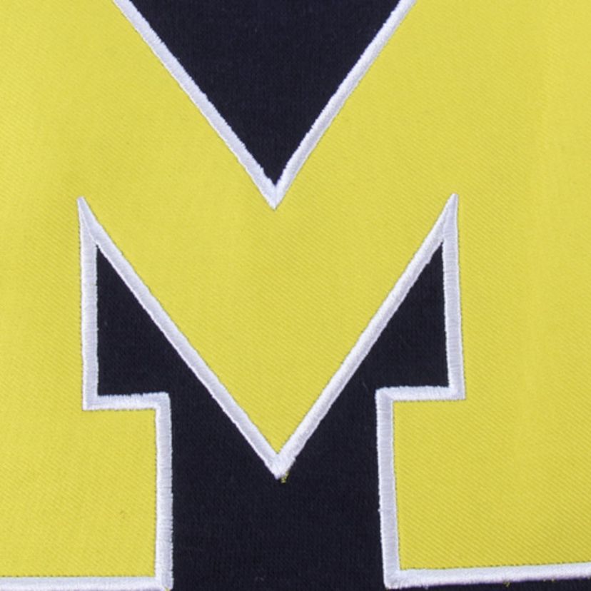 NCAA Michigan Wolverines Big Logo Pullover Hoodie