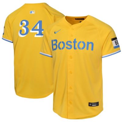 Boston Red Sox Youth MLB Nike David Ortiz Boston Sox City Connect Limited Player Jersey
