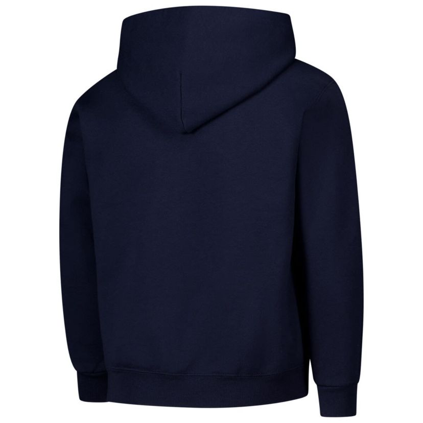 NCAA Michigan Wolverines Basic Arch Hoodie