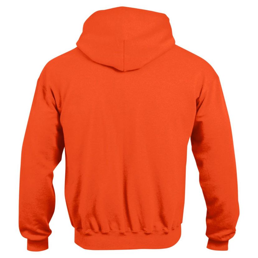 NCAA Clemson Tigers Campus Pullover Hoodie