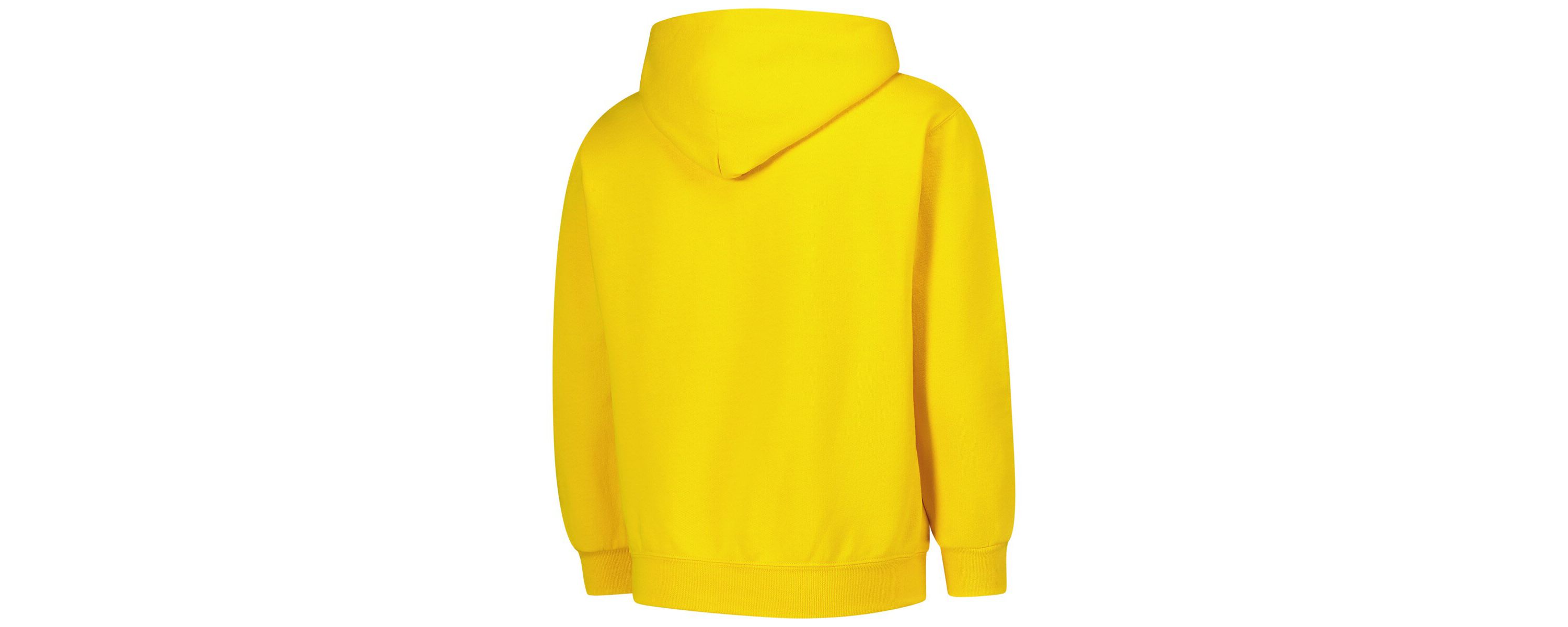 NCAA Michigan Wolverines Campus Pullover Hoodie