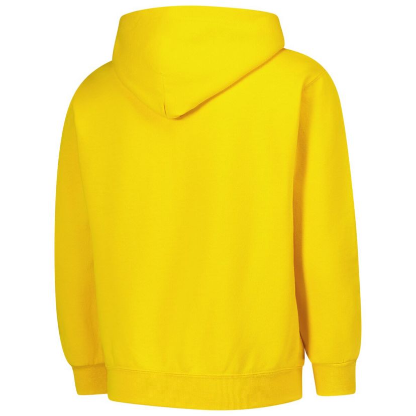 NCAA Michigan Wolverines Campus Pullover Hoodie