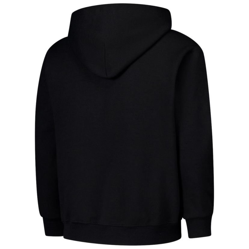 NCAA Wake Forest Demon Deacons Campus Pullover Hoodie