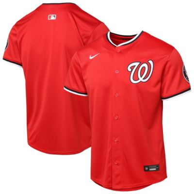 Nike Youth MLB Washington Nationals Alternate 2 Limited Jersey