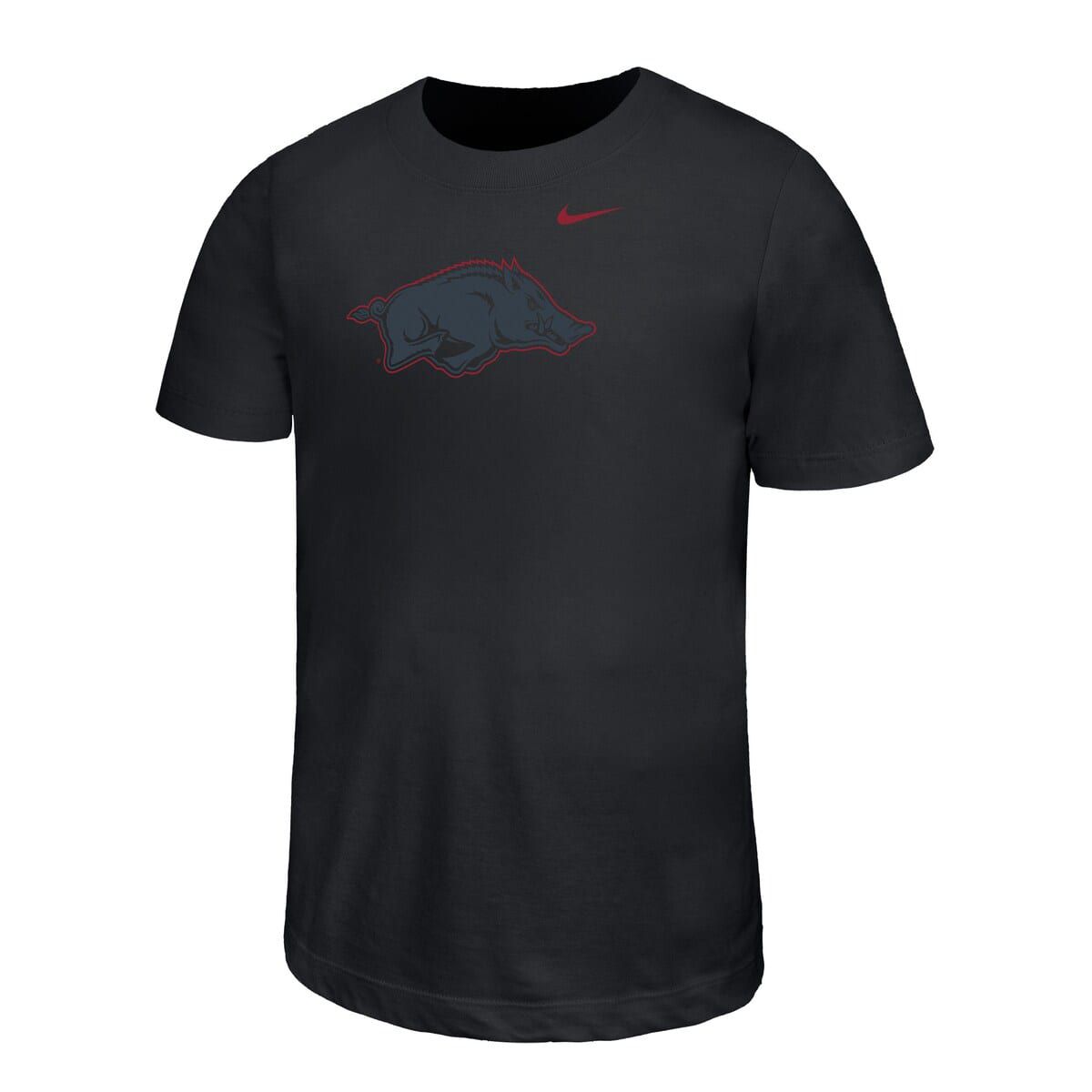 NCAA Nike Arkansas Razorbacks Legend Color Pop Performance T-Shirt
