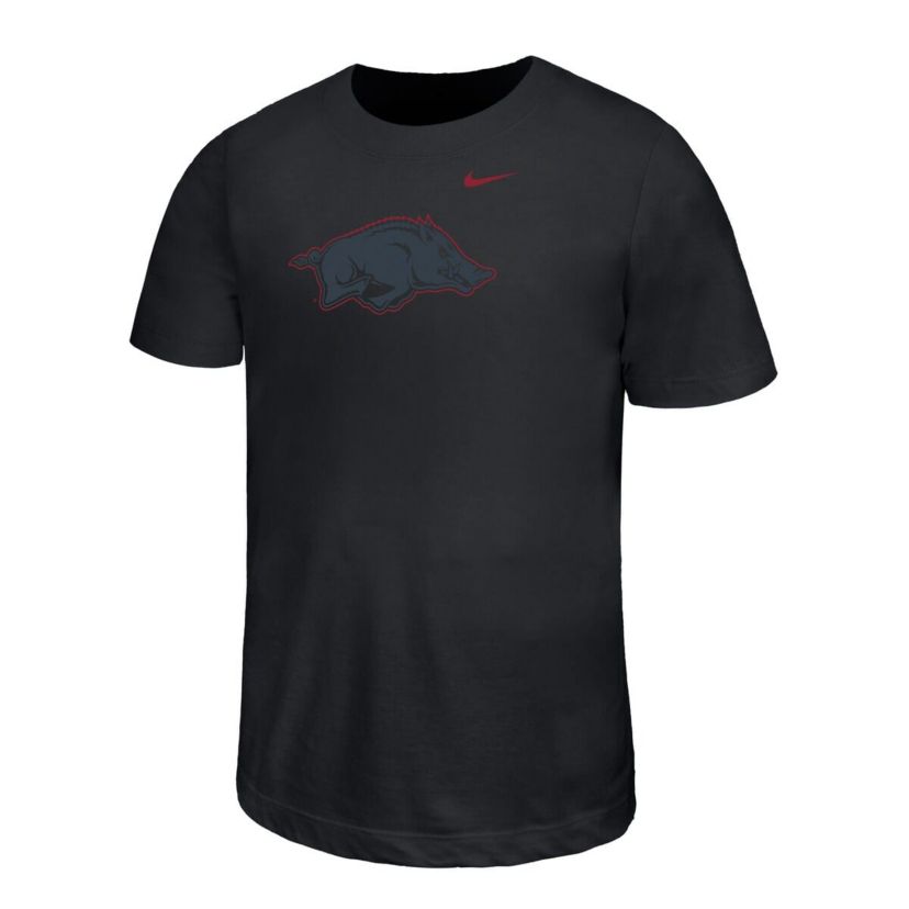 NCAA Nike Arkansas Razorbacks Legend Color Pop Performance T-Shirt