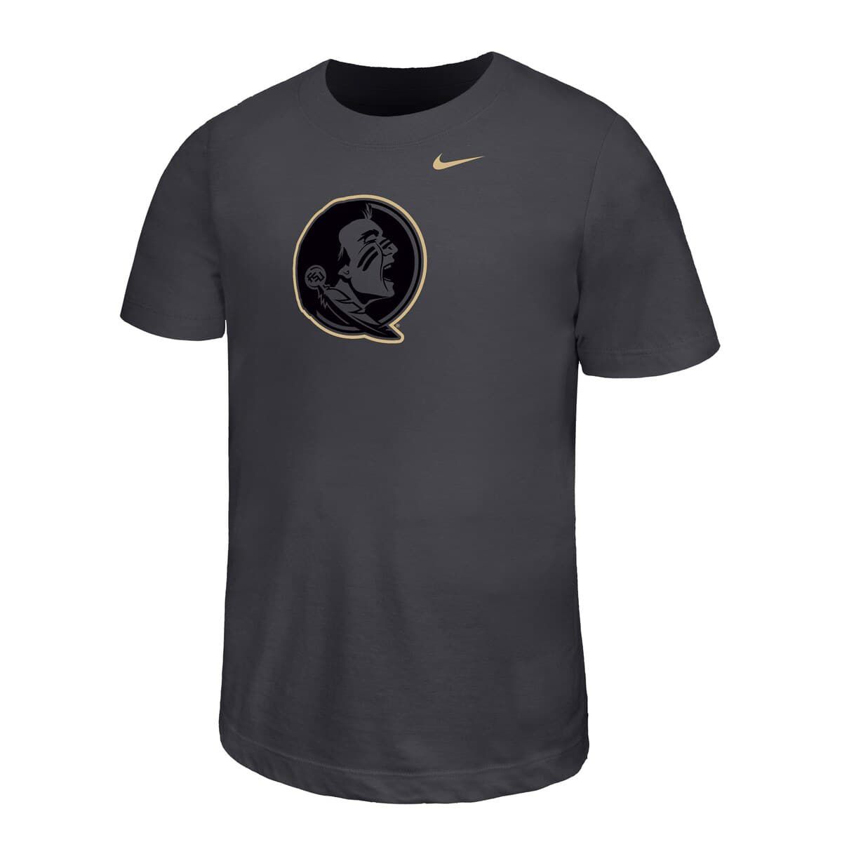 NCAA Nike Florida State Seminoles Legend Color Pop Performance T-Shirt