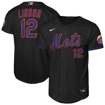 Youth MLB Nike Francisco Lindor New York Mets Alternate Stadium Player Jersey, Black, XL