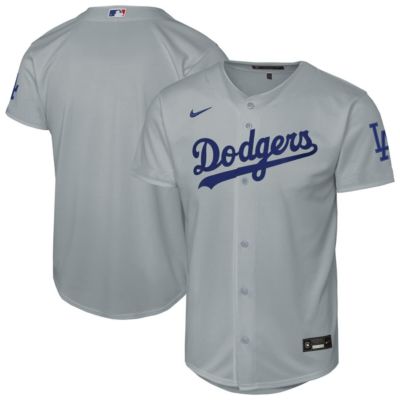Youth MLB Nike Los Angeles Dodgers Alternate Stadium Jersey, Gray, XL