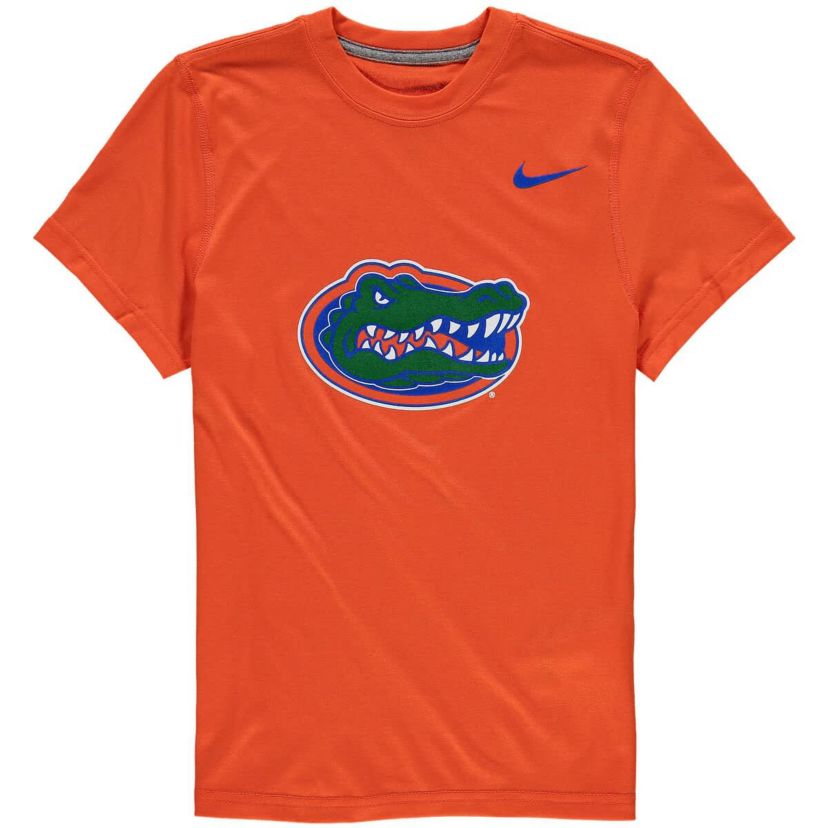 NCAA Nike Florida Gators Logo Legend Performance T-Shirt