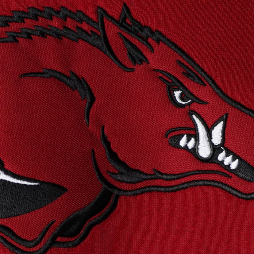 NCAA Arkansas Razorbacks Big Logo Pullover Hoodie