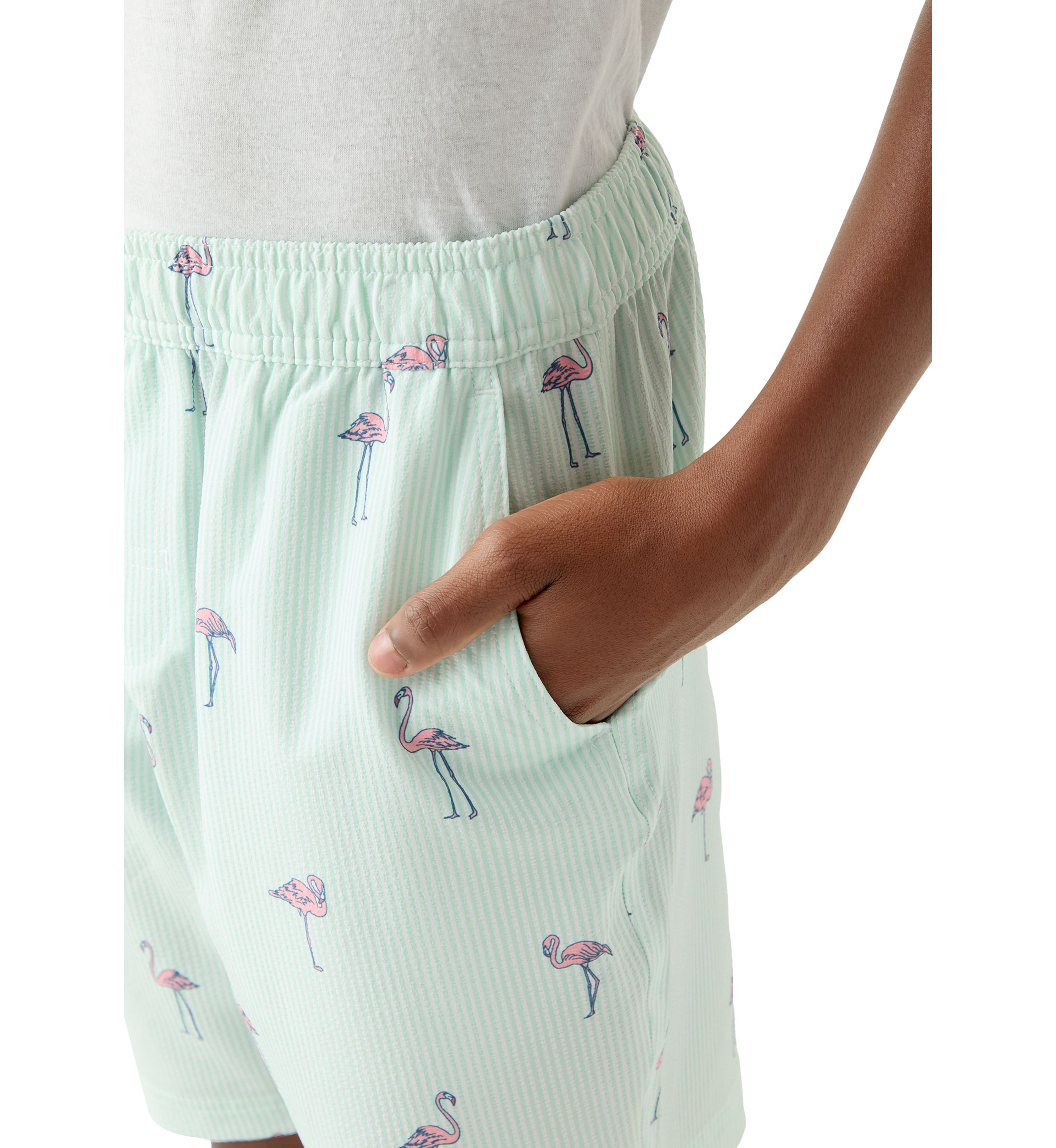 Boys 8-20 Flamingo Print Shorts