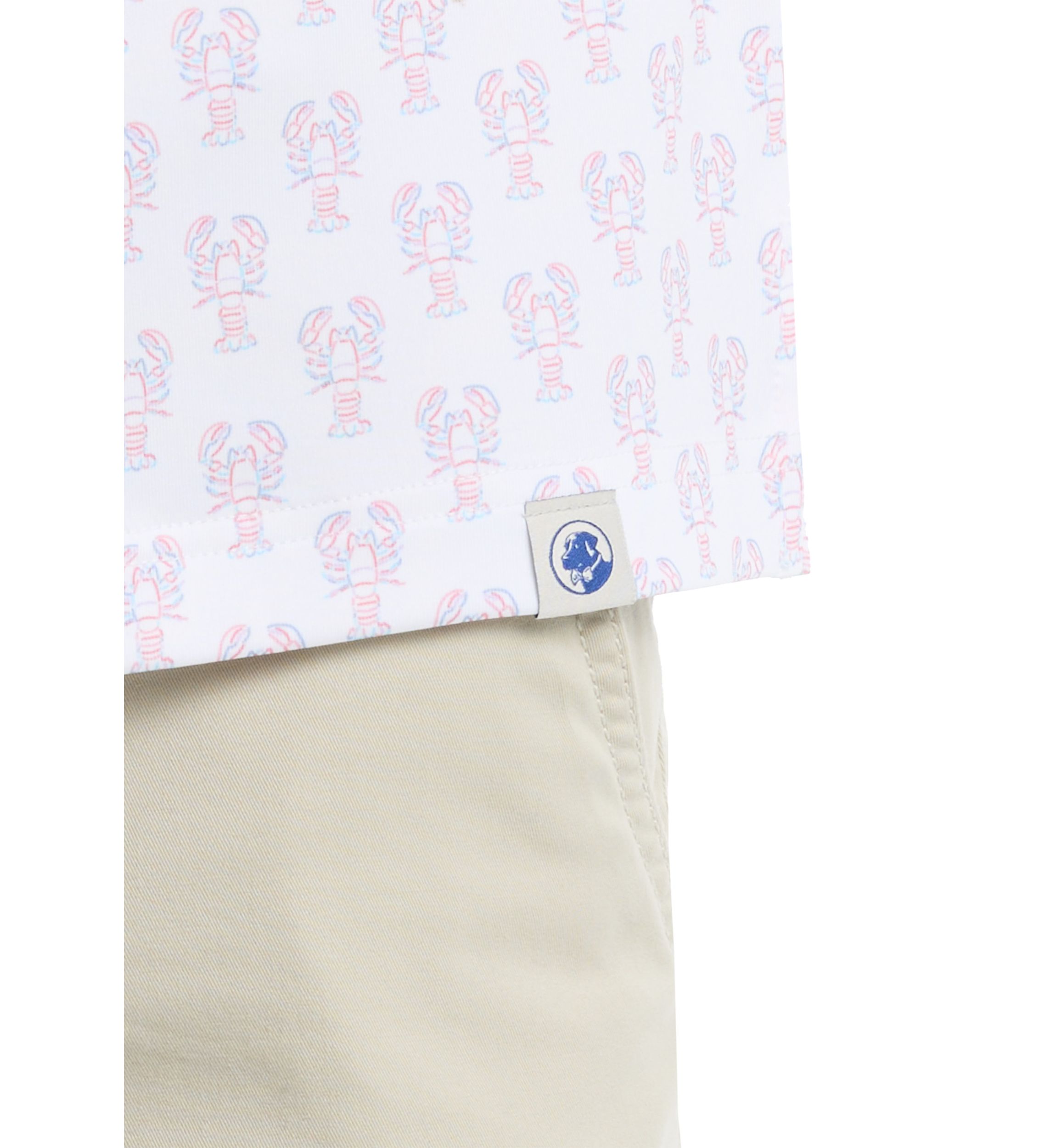 Boys 8-20 Lobster Printed Polo Shirt
