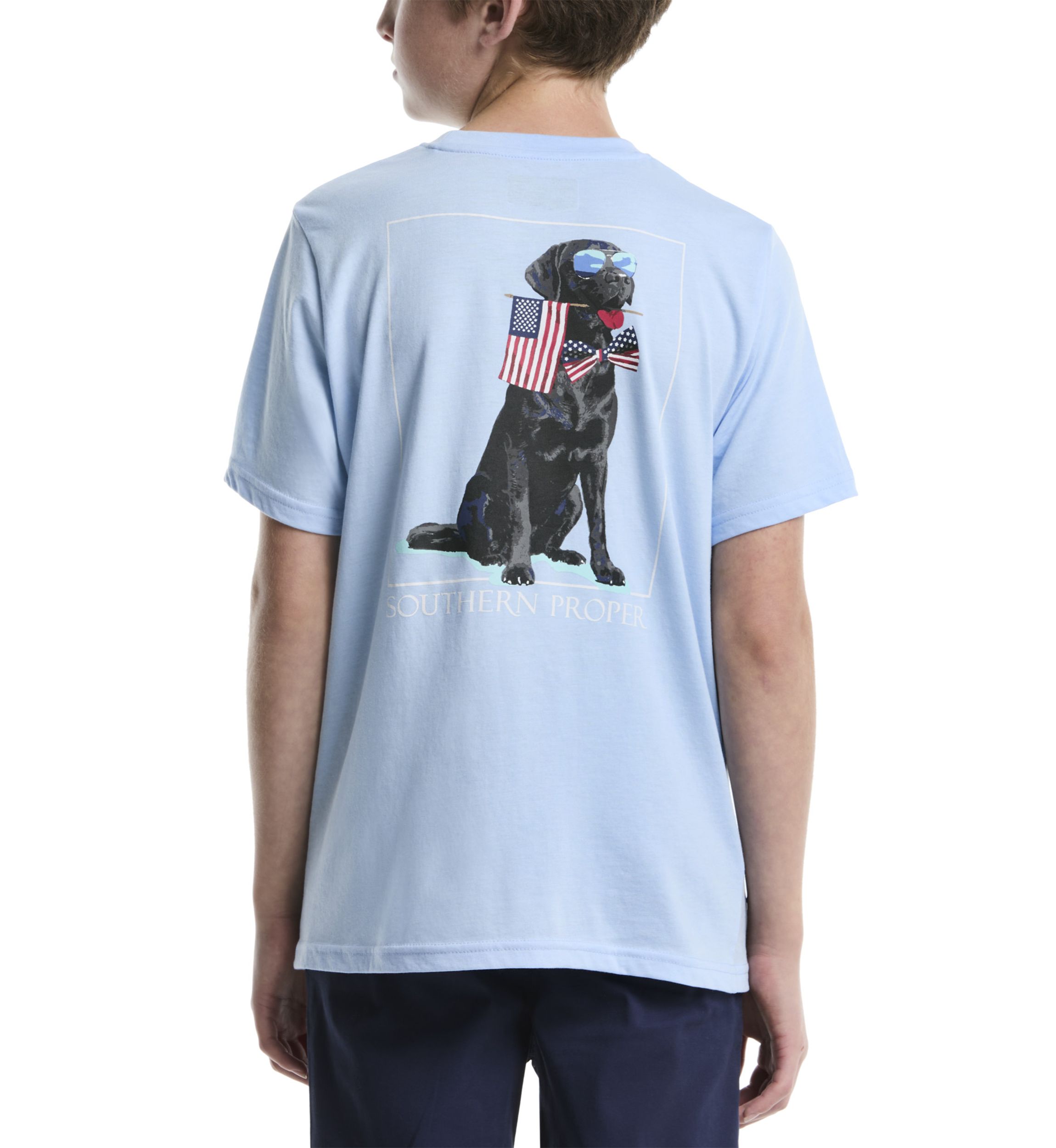 Boys 8-20 Patriotic Dog Graphic T-Shirt