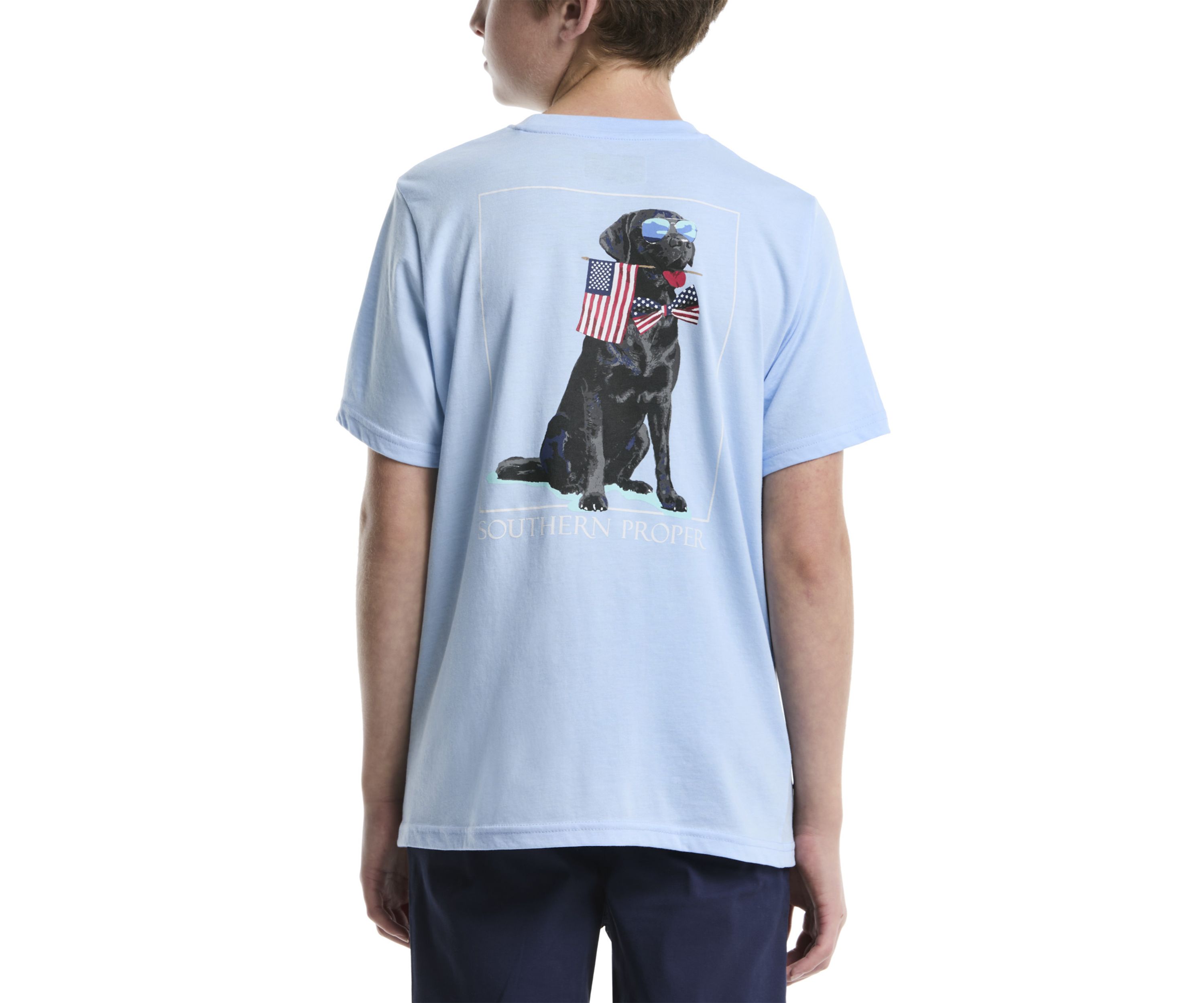 Boys 8-20 Patriotic Dog Graphic T-Shirt