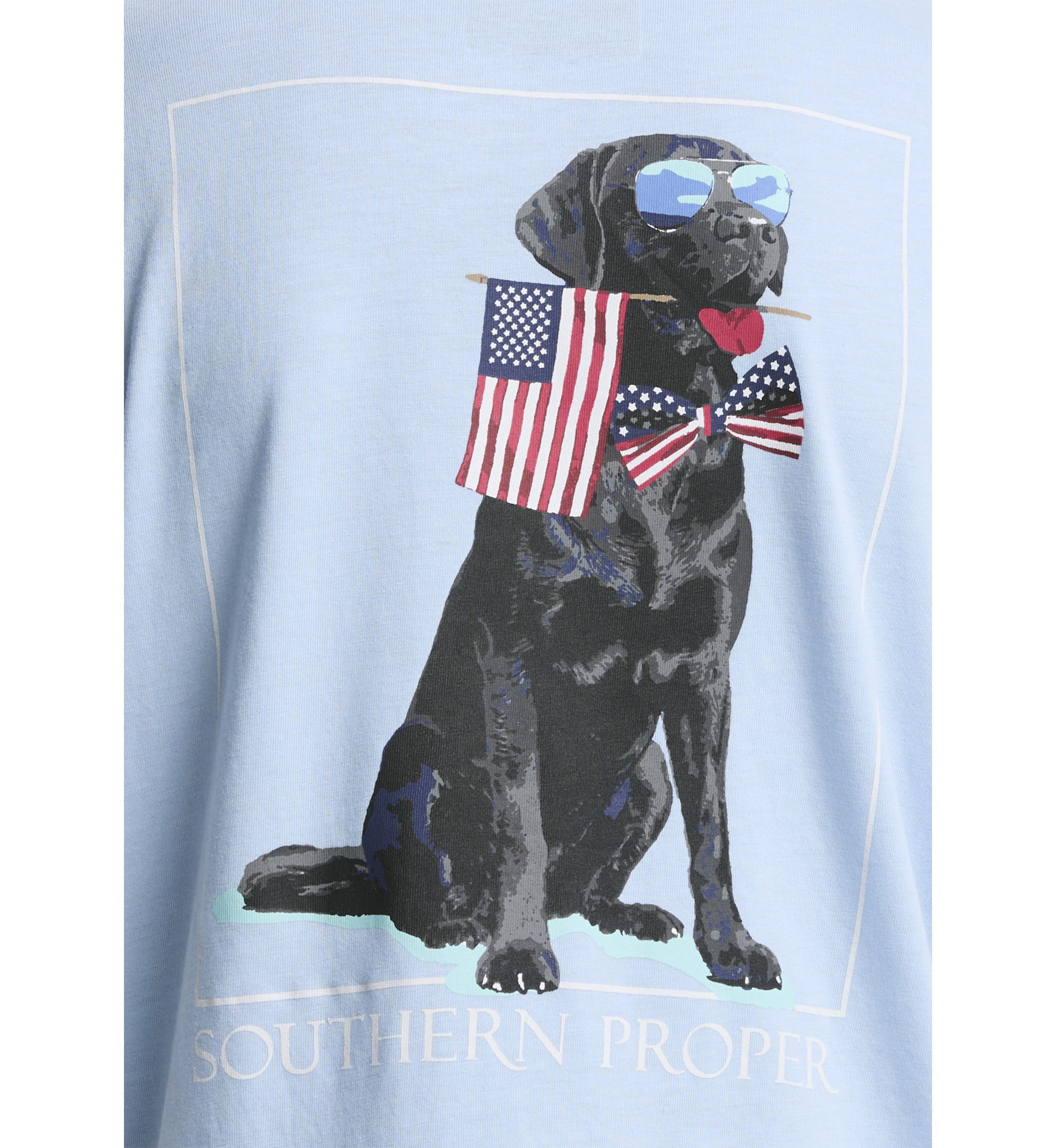 Boys 8-20 Patriotic Dog Graphic T-Shirt