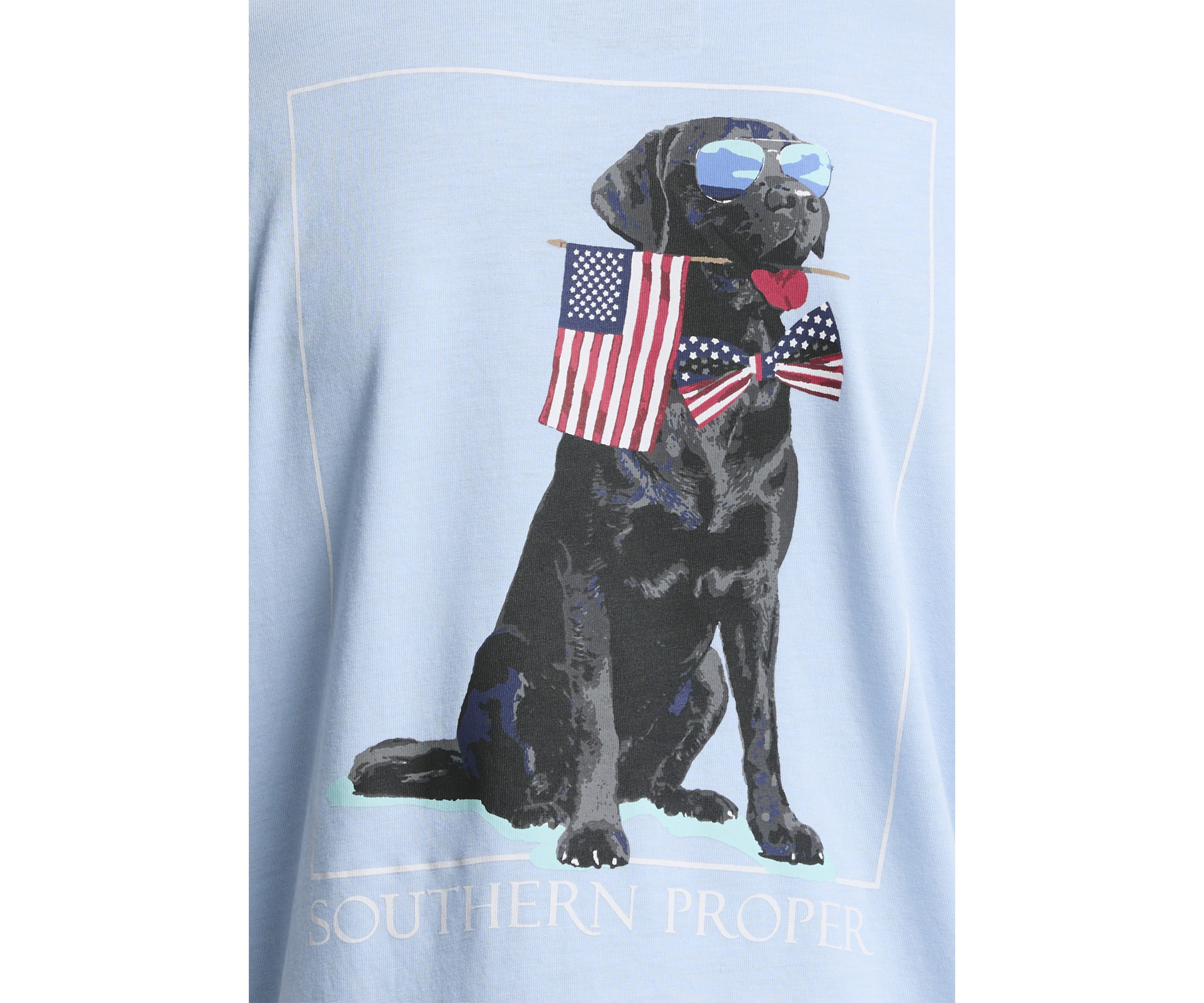 Boys 8-20 Patriotic Dog Graphic T-Shirt