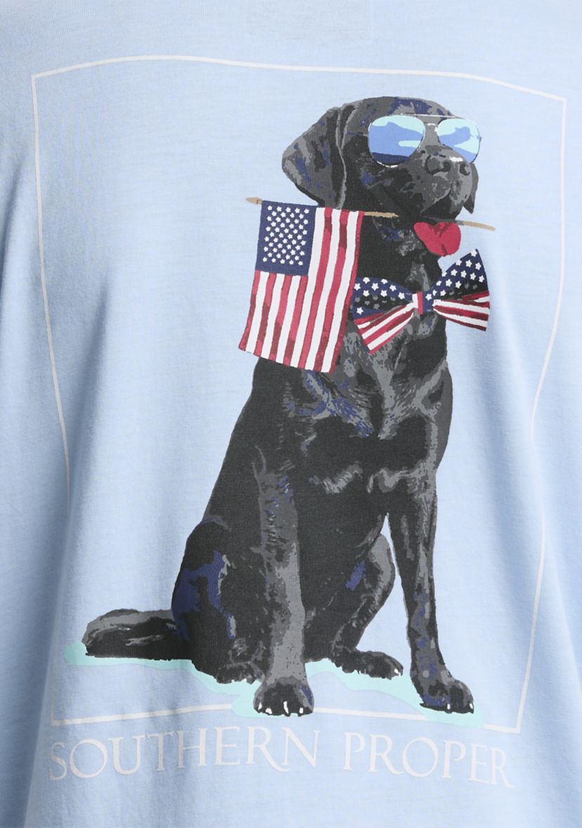 Boys 8-20 Patriotic Dog Graphic T-Shirt