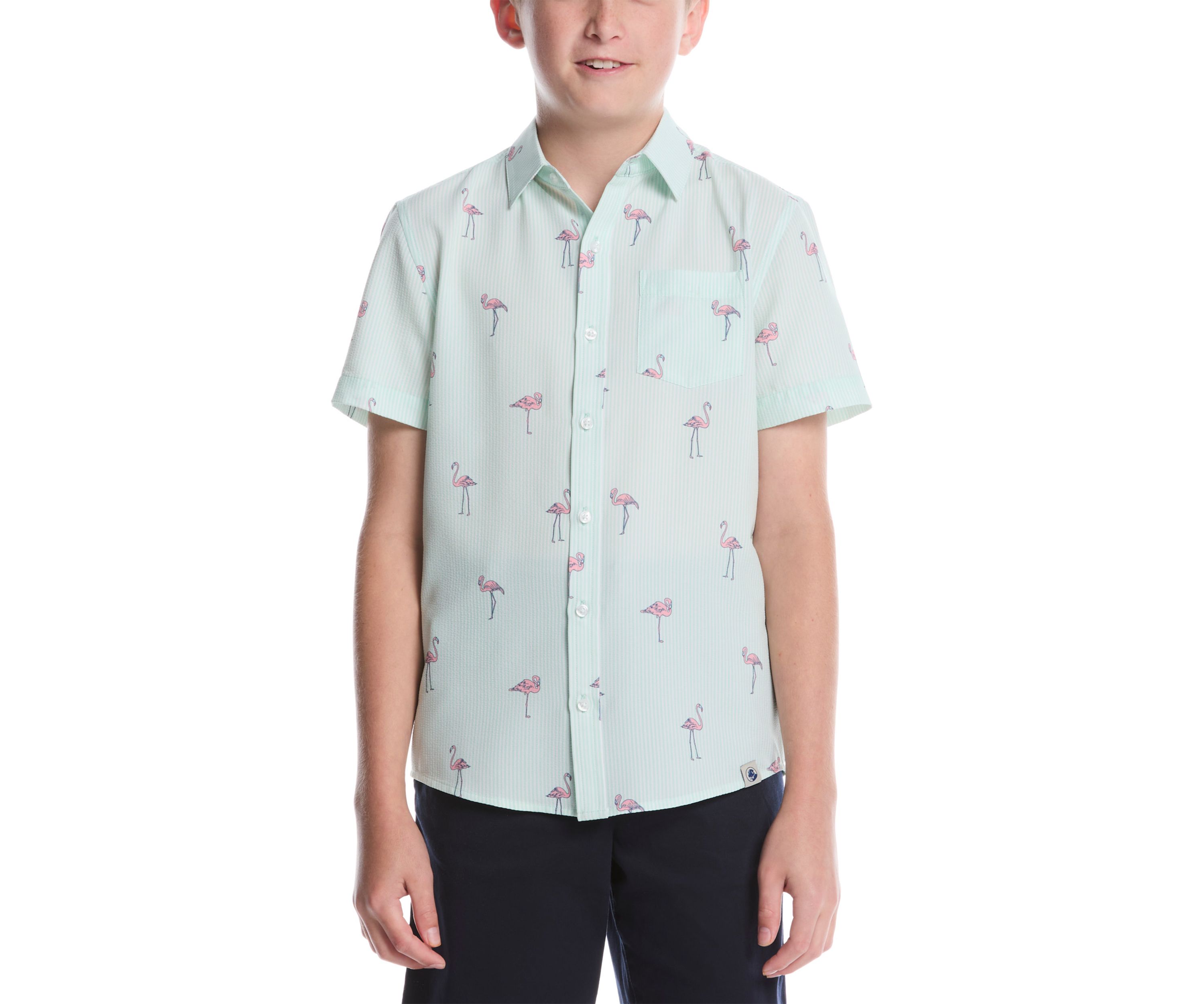 Boys 8-20 Short Sleeve Flamingo Print Woven Shirt 